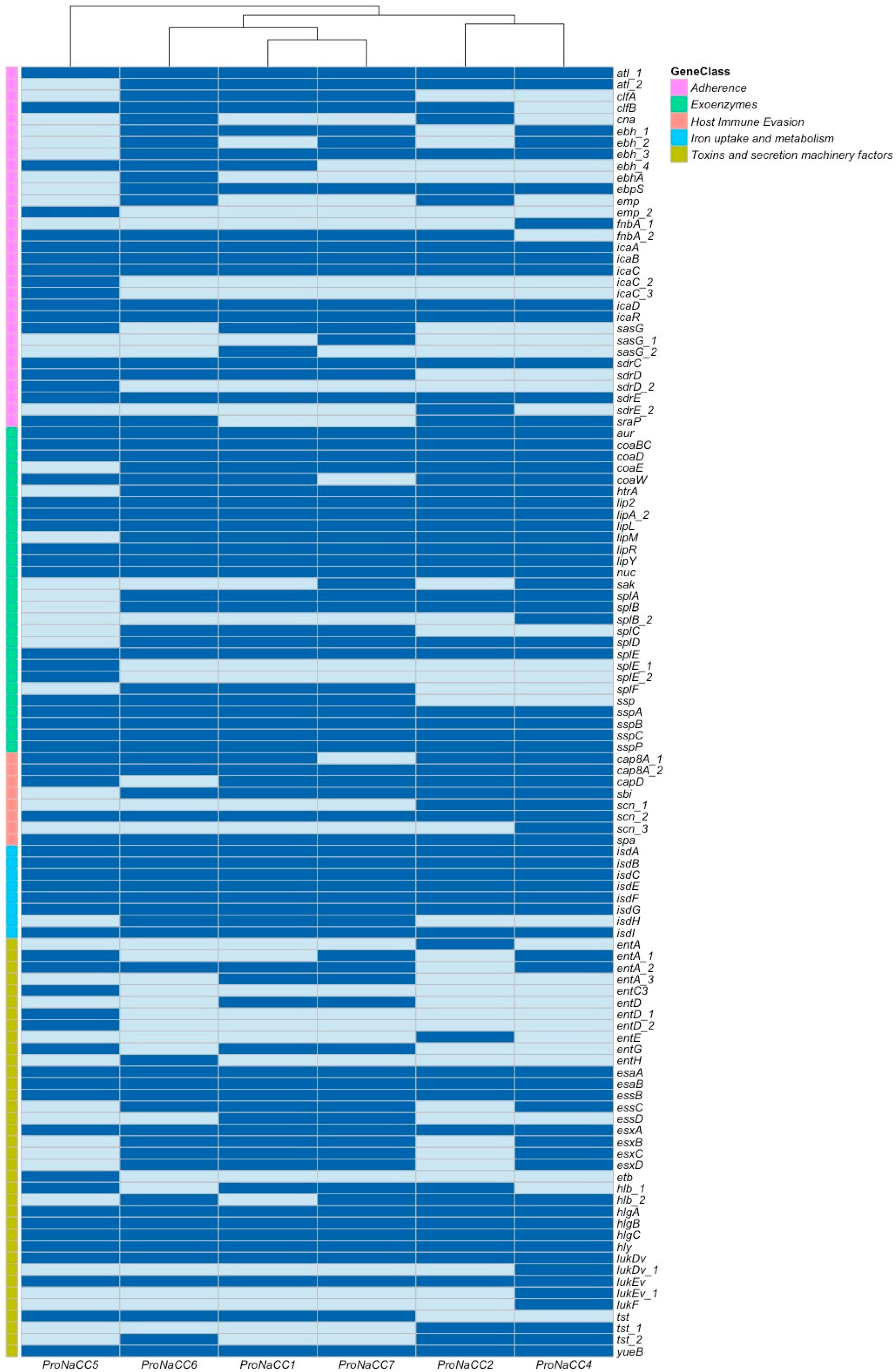 Genes 11 00033 g001 Genes 11 00033 g001