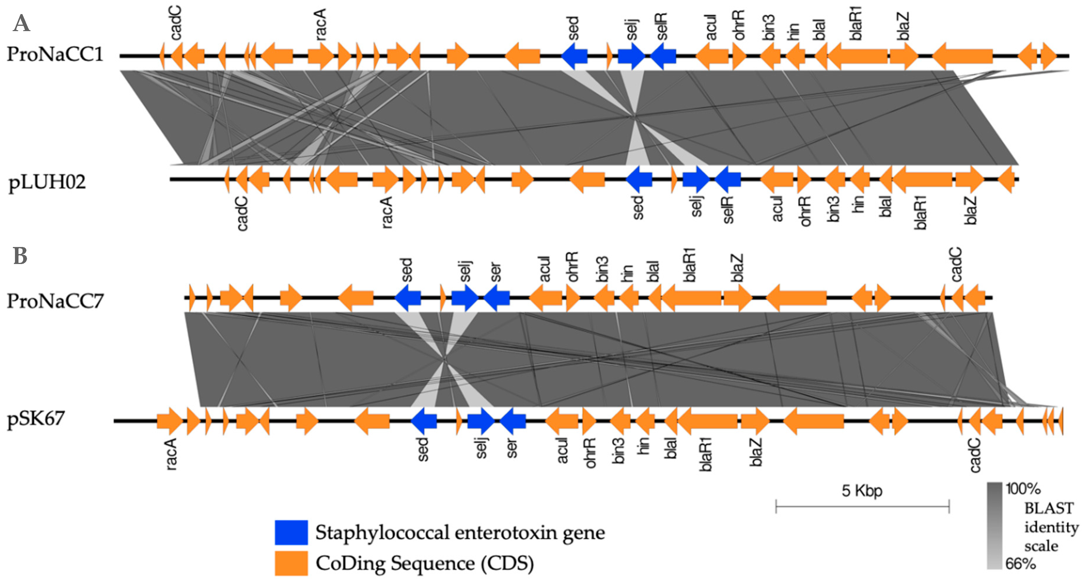 Genes 11 00033 g008 Genes 11 00033 g008