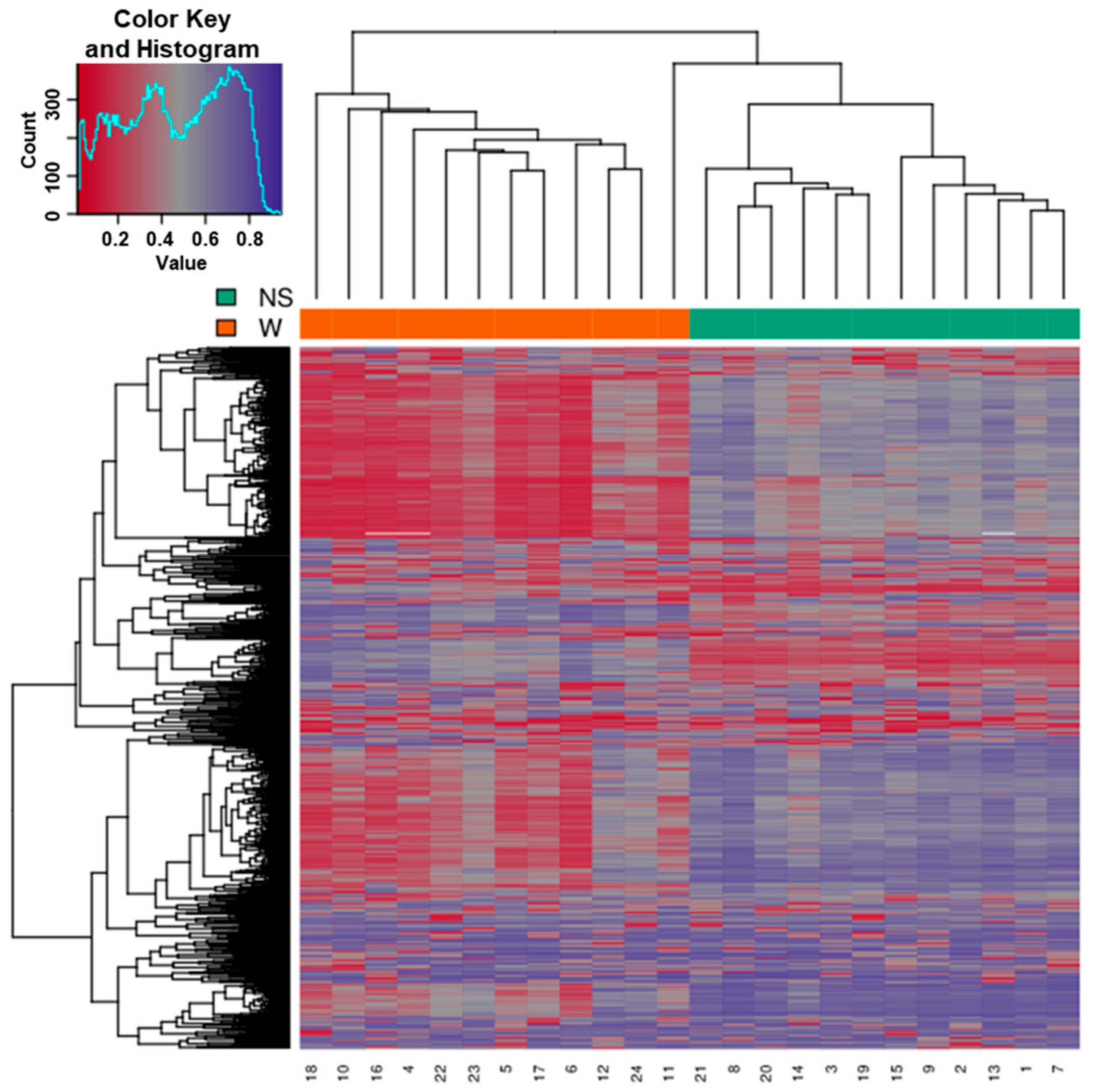 Genes 11 00034 g004 Genes 11 00034 g004
