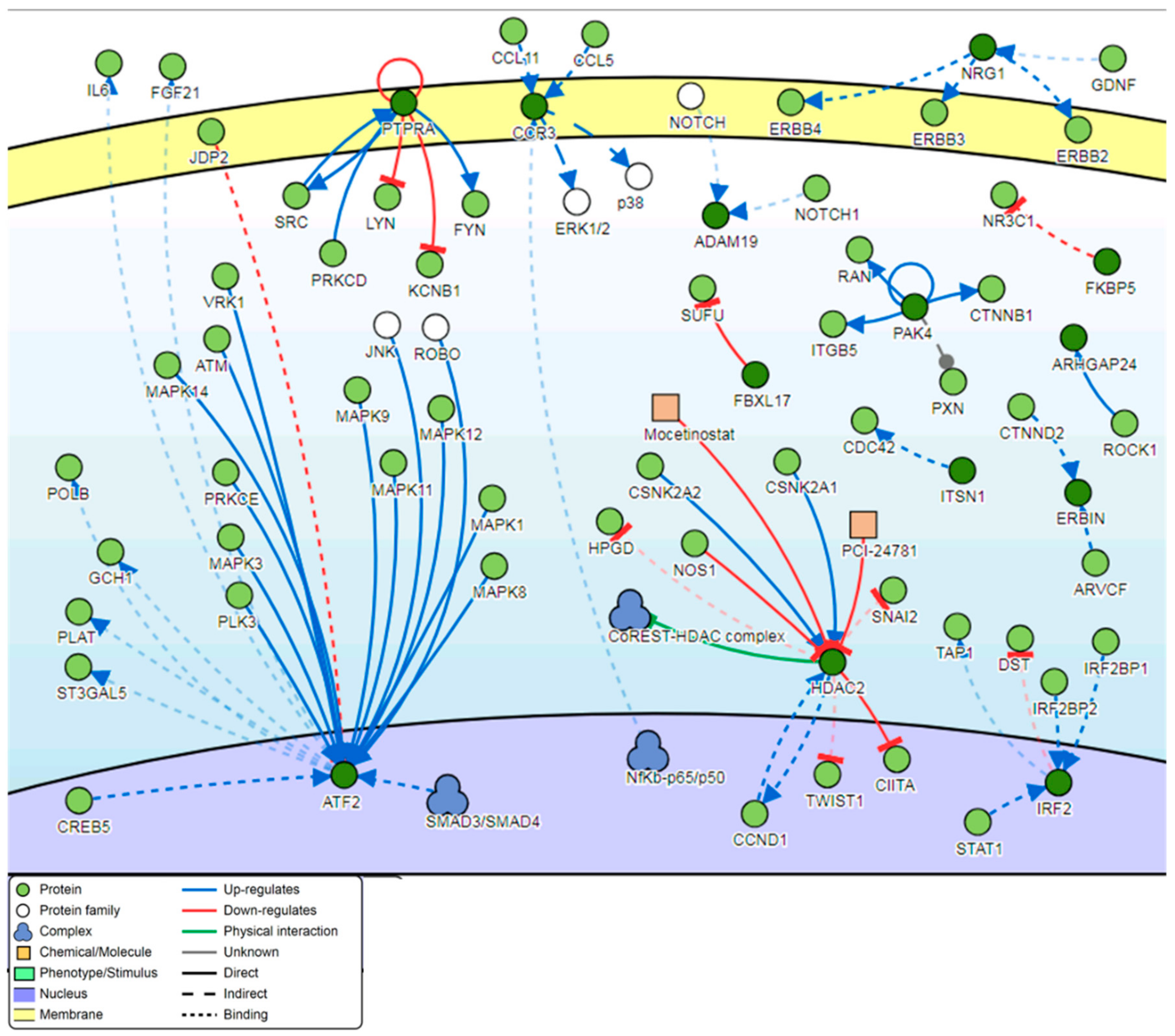 Genes 11 00034 g010 Genes 11 00034 g010