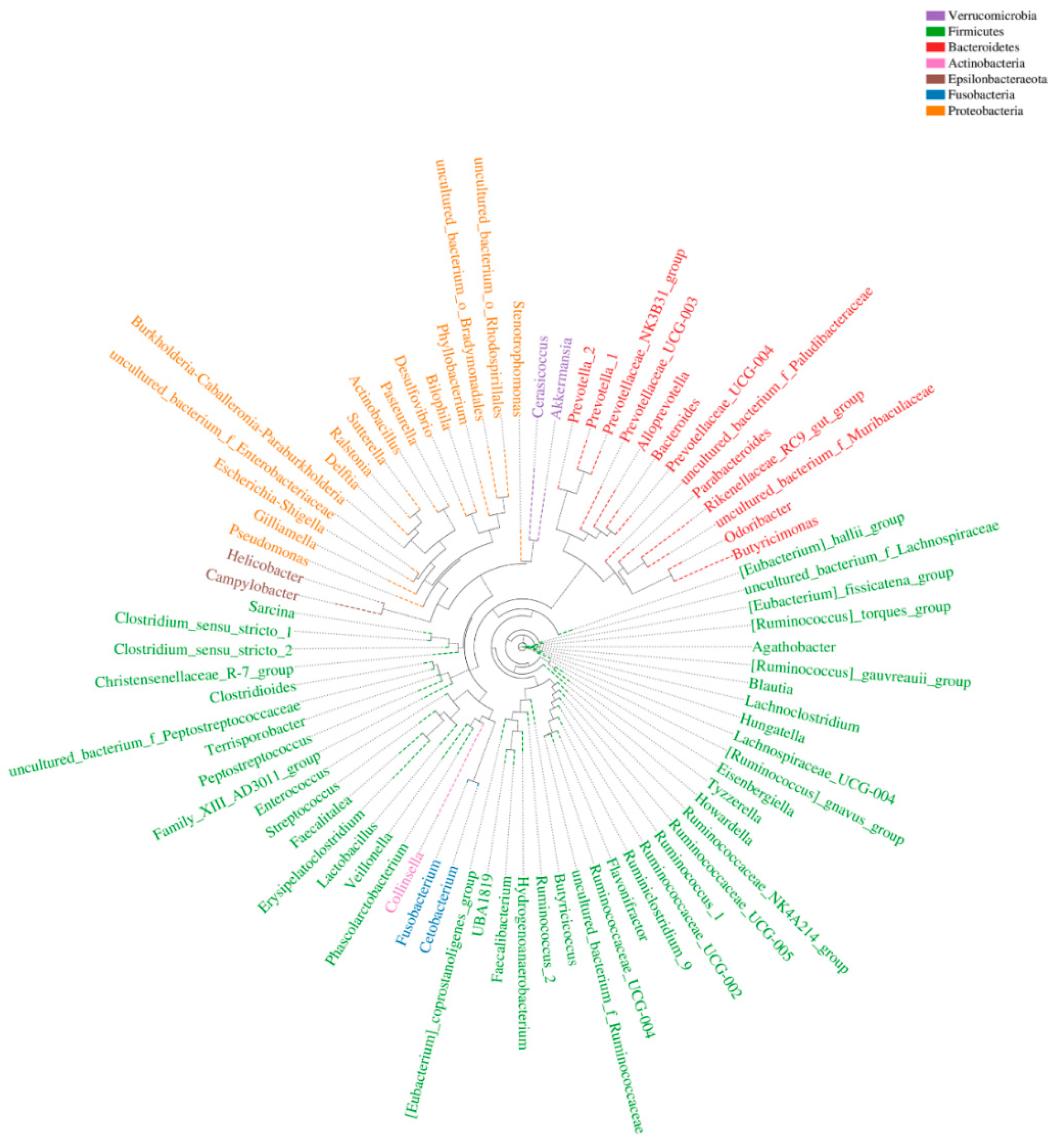Genes 11 00044 g003 Genes 11 00044 g003