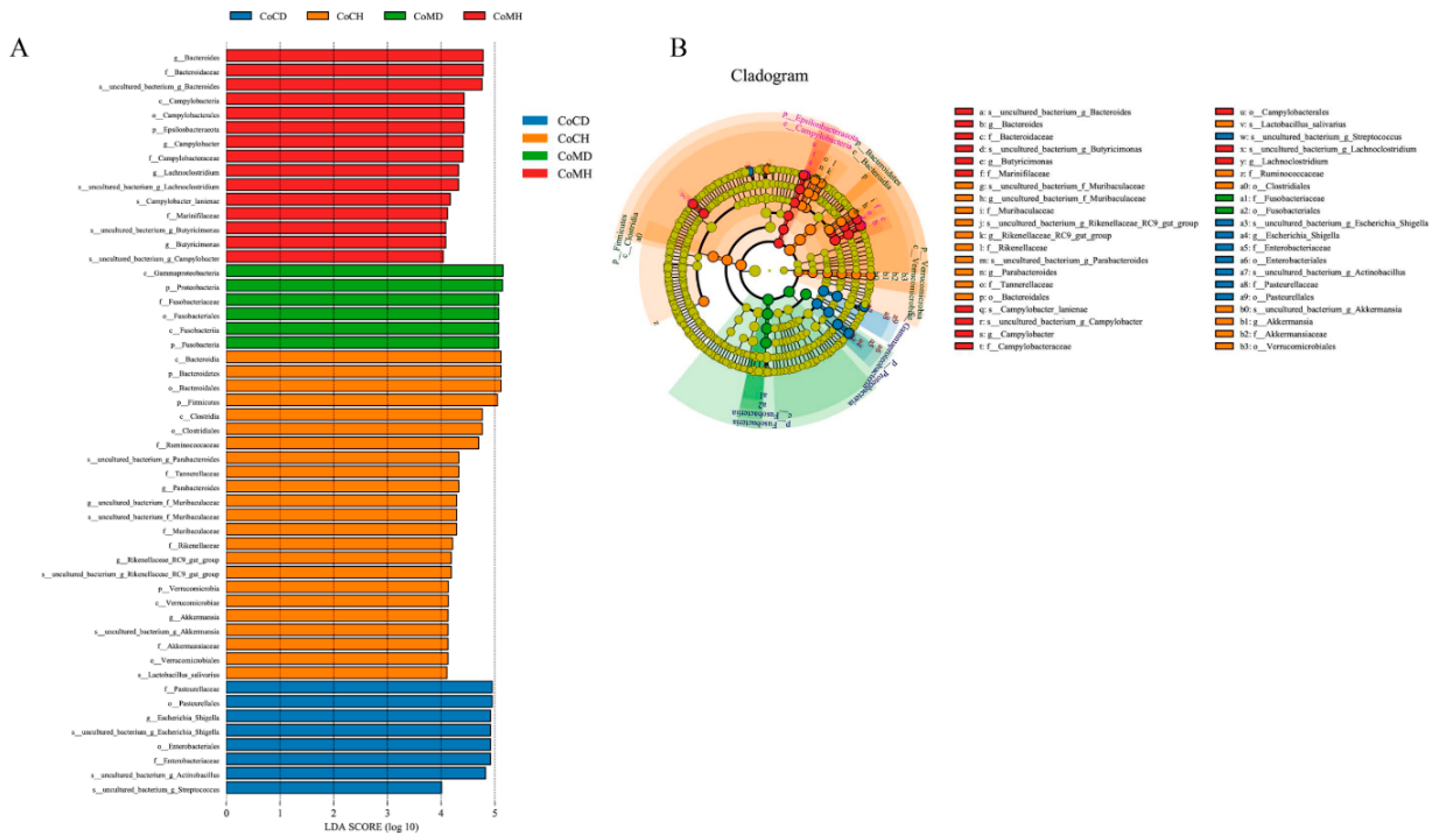 Genes 11 00044 g005 Genes 11 00044 g005
