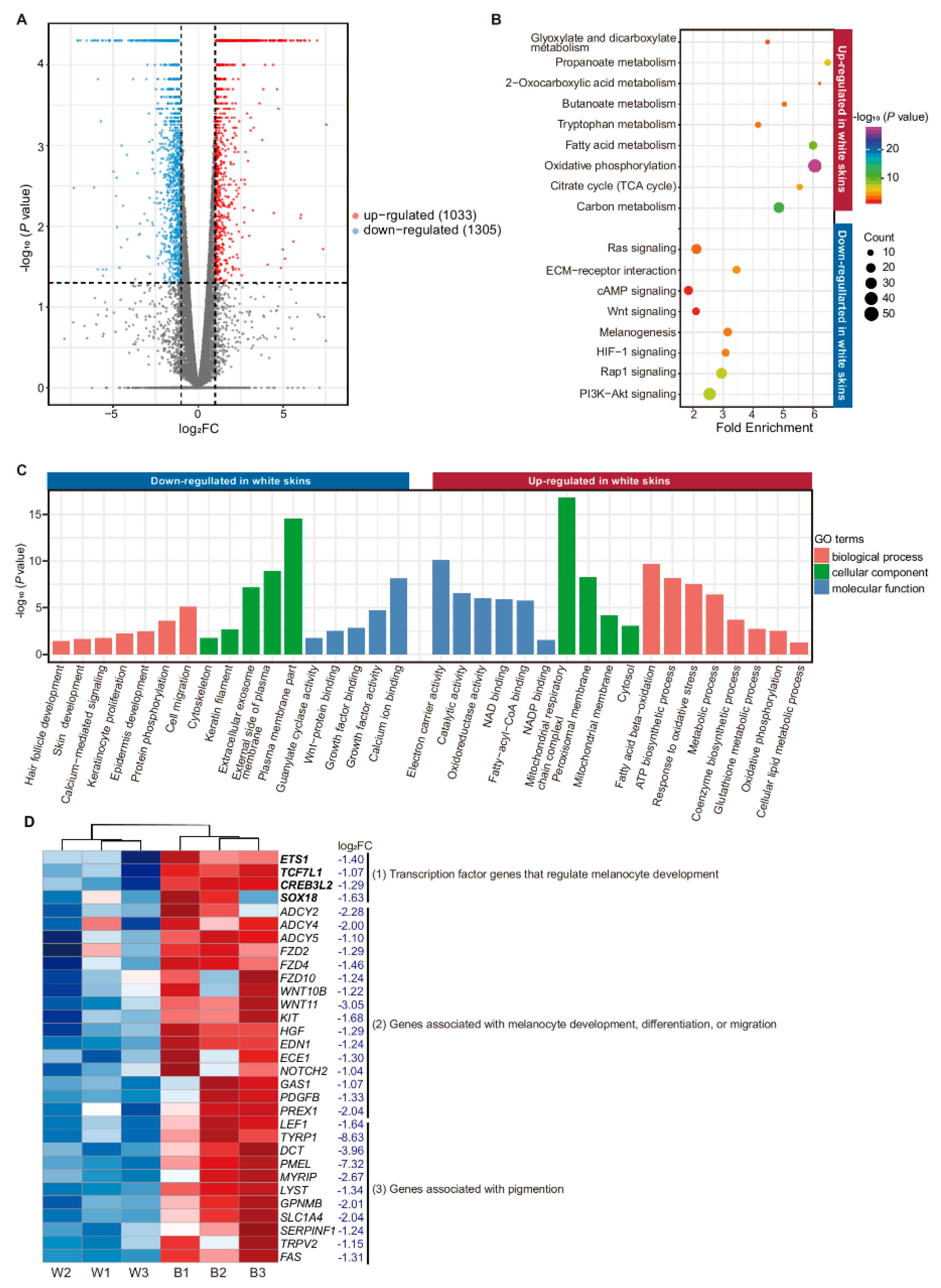 Genes 11 00047 g003 Genes 11 00047 g003