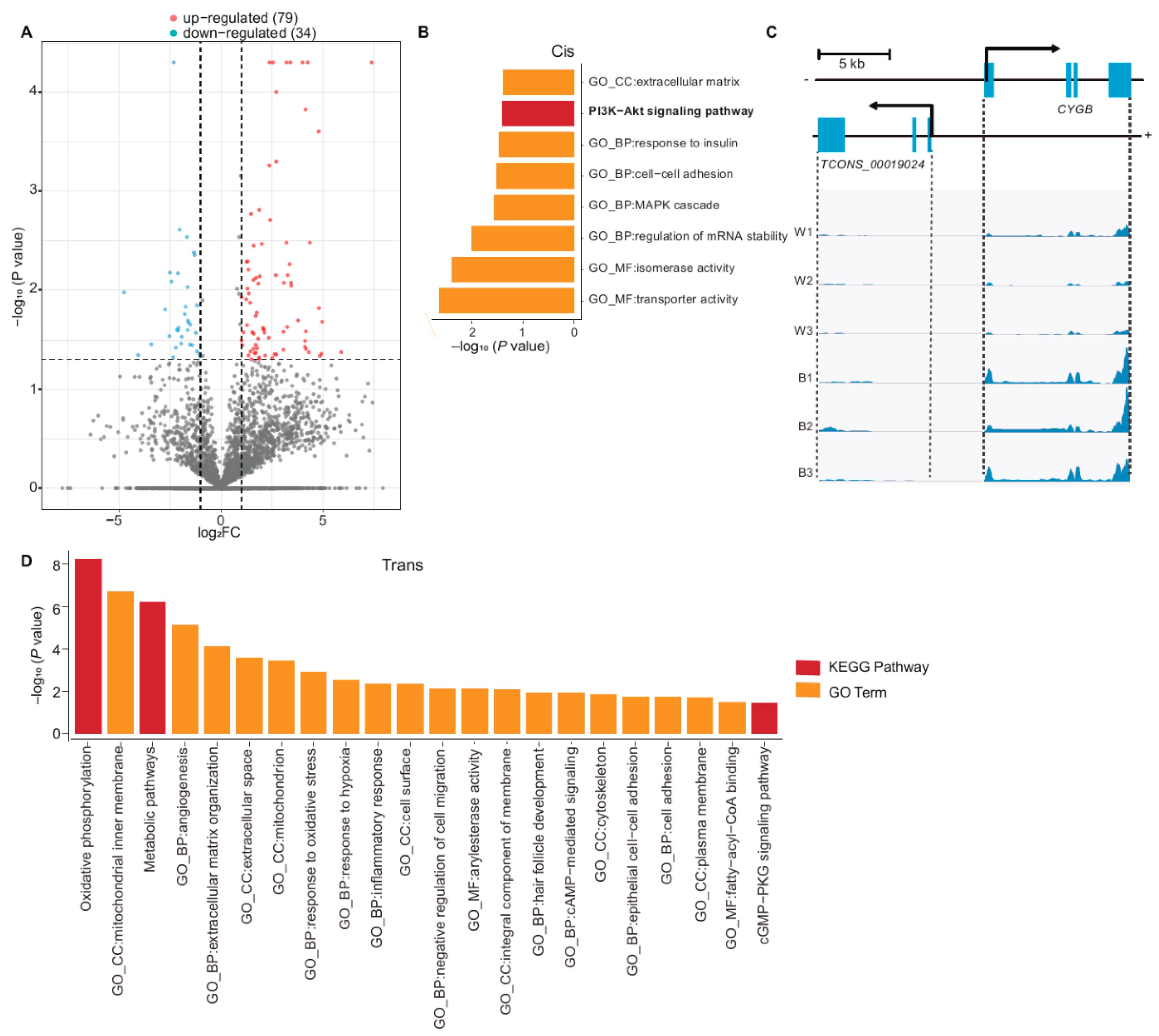 Genes 11 00047 g004 Genes 11 00047 g004