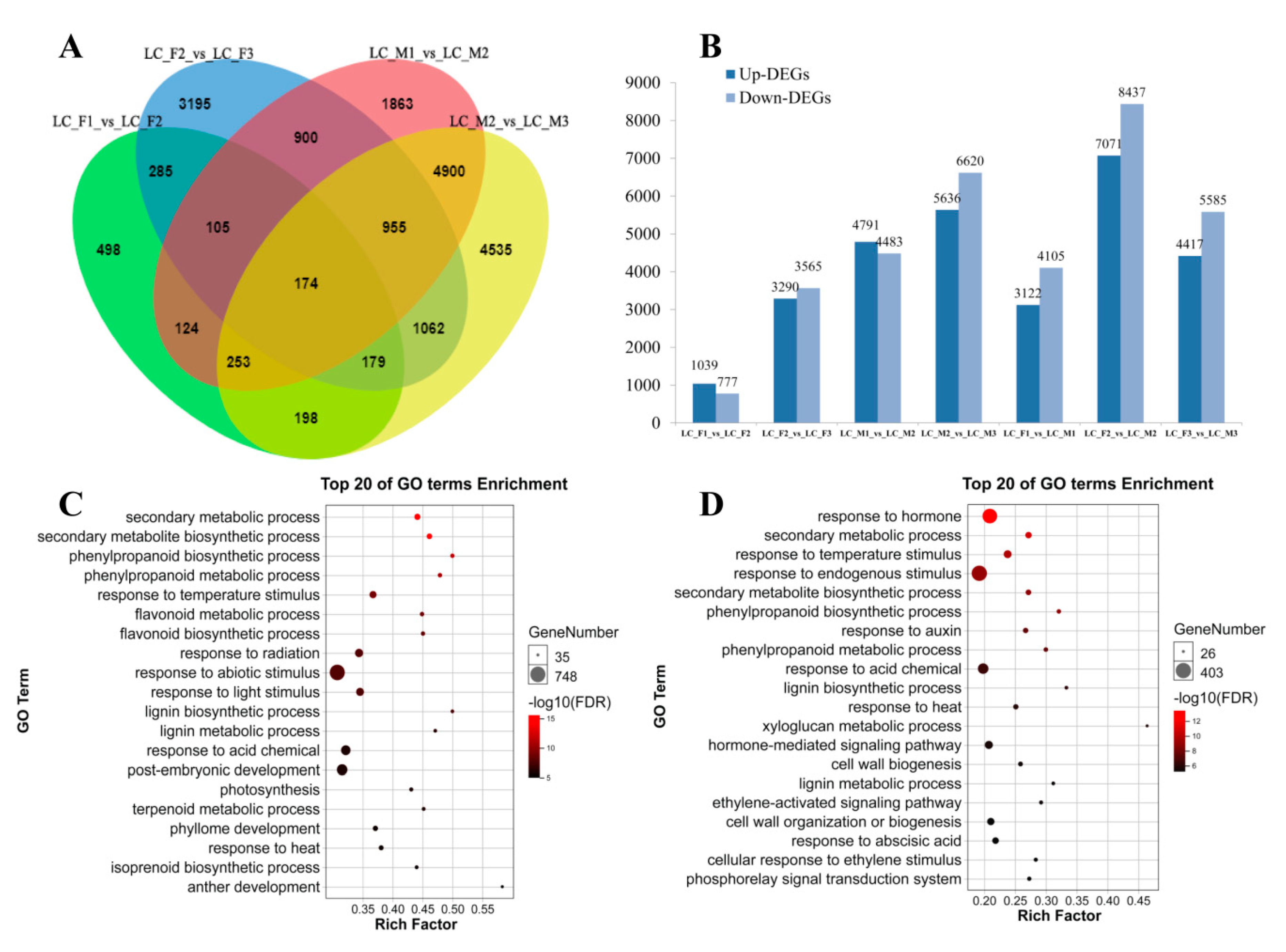 Genes 11 00048 g002