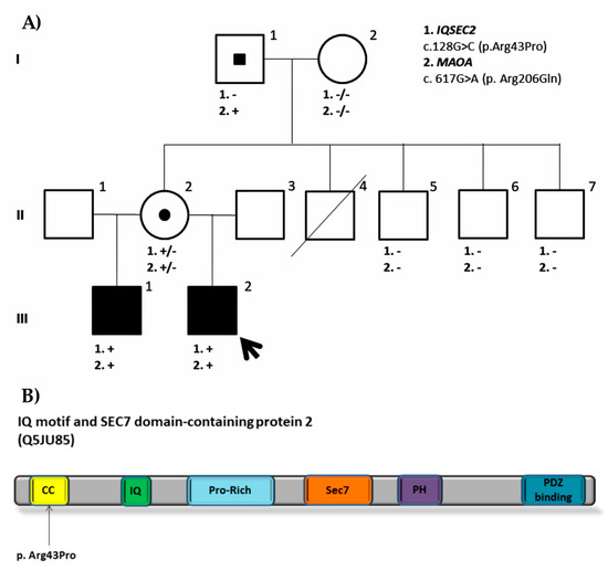 健康・医学 chat gene Pro Full-length human dystrophin on human artificial chromosome