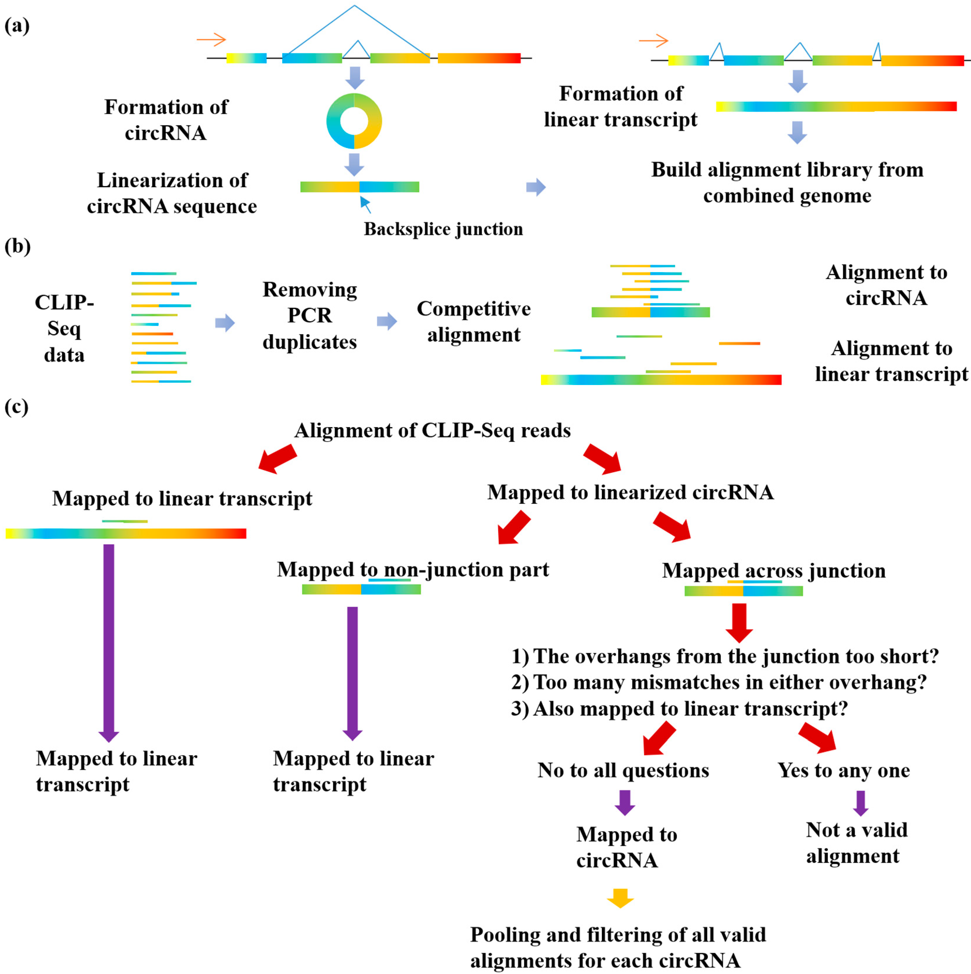 Genes 11 00054 g001
