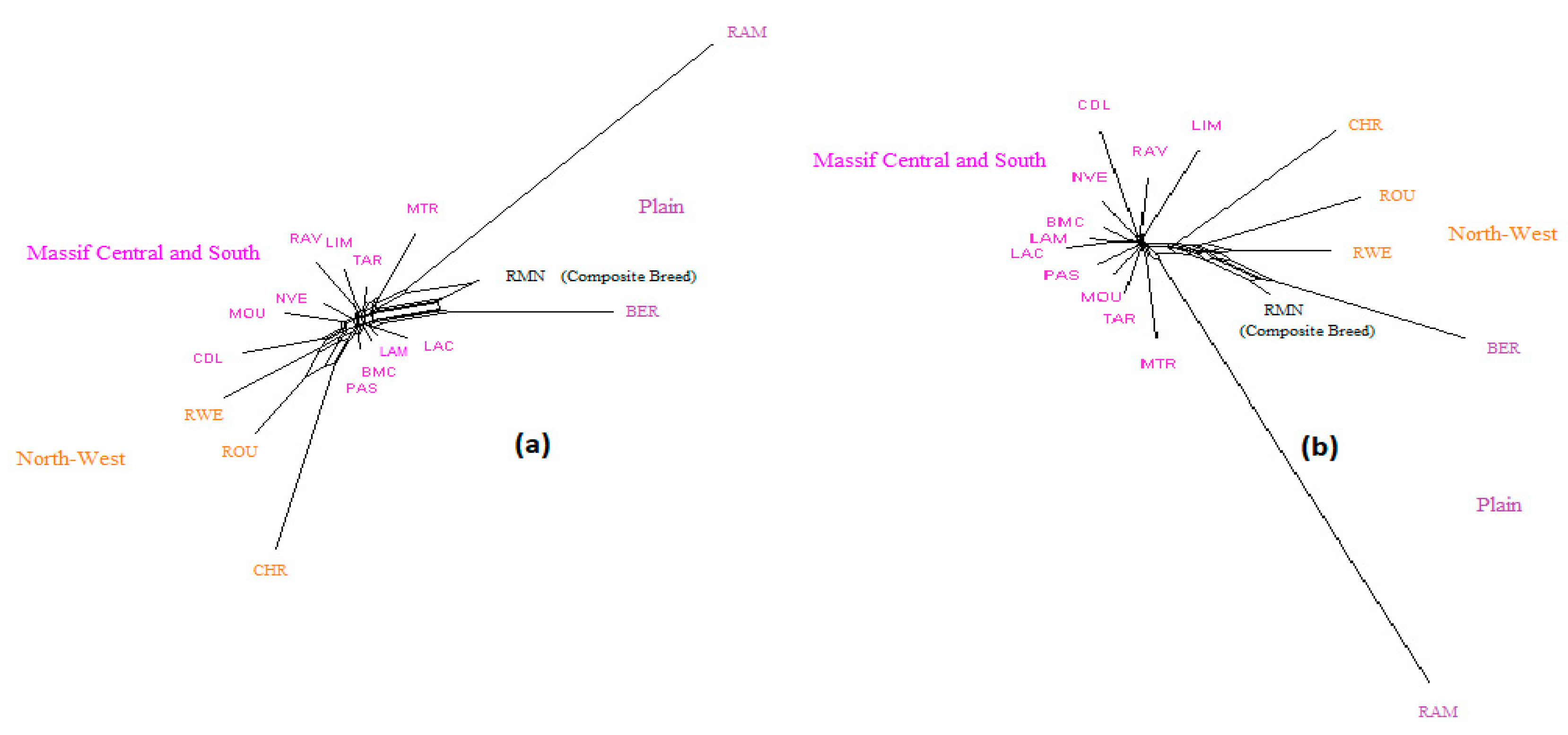 Genes 11 00057 g003 Genes 11 00057 g003