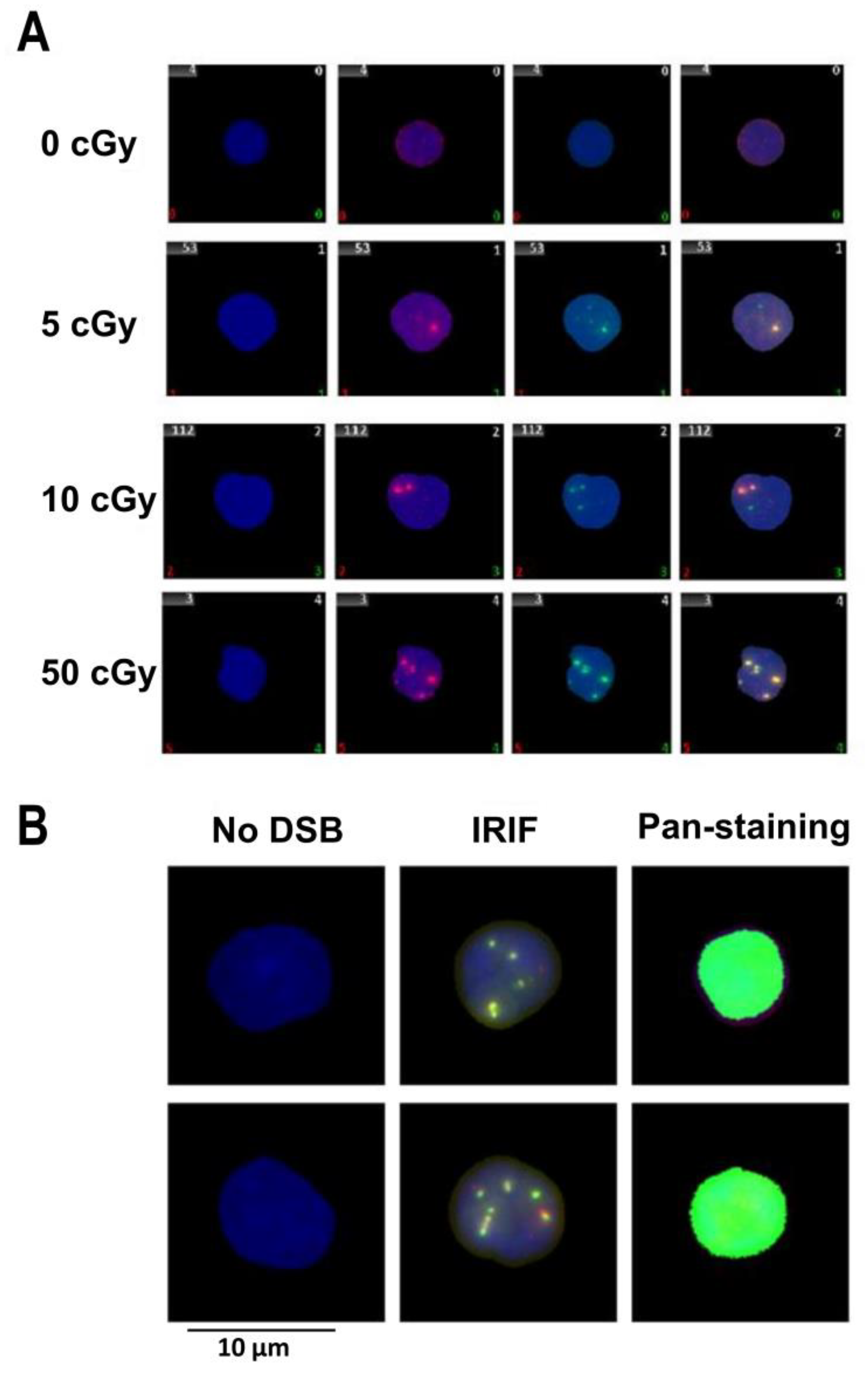 Genes 11 00058 g001 Genes 11 00058 g001