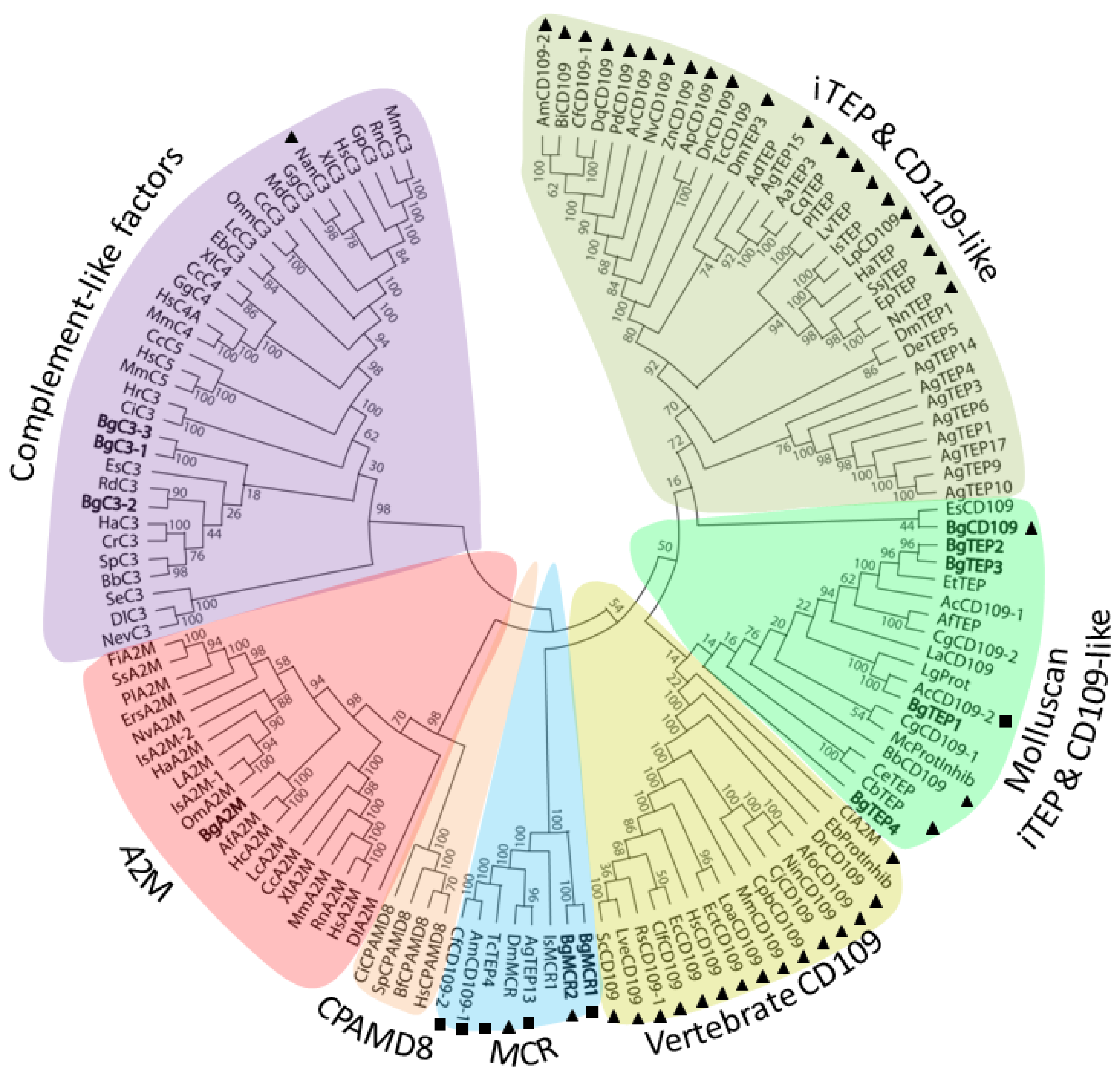 Genes 11 00069 g001 Genes 11 00069 g001
