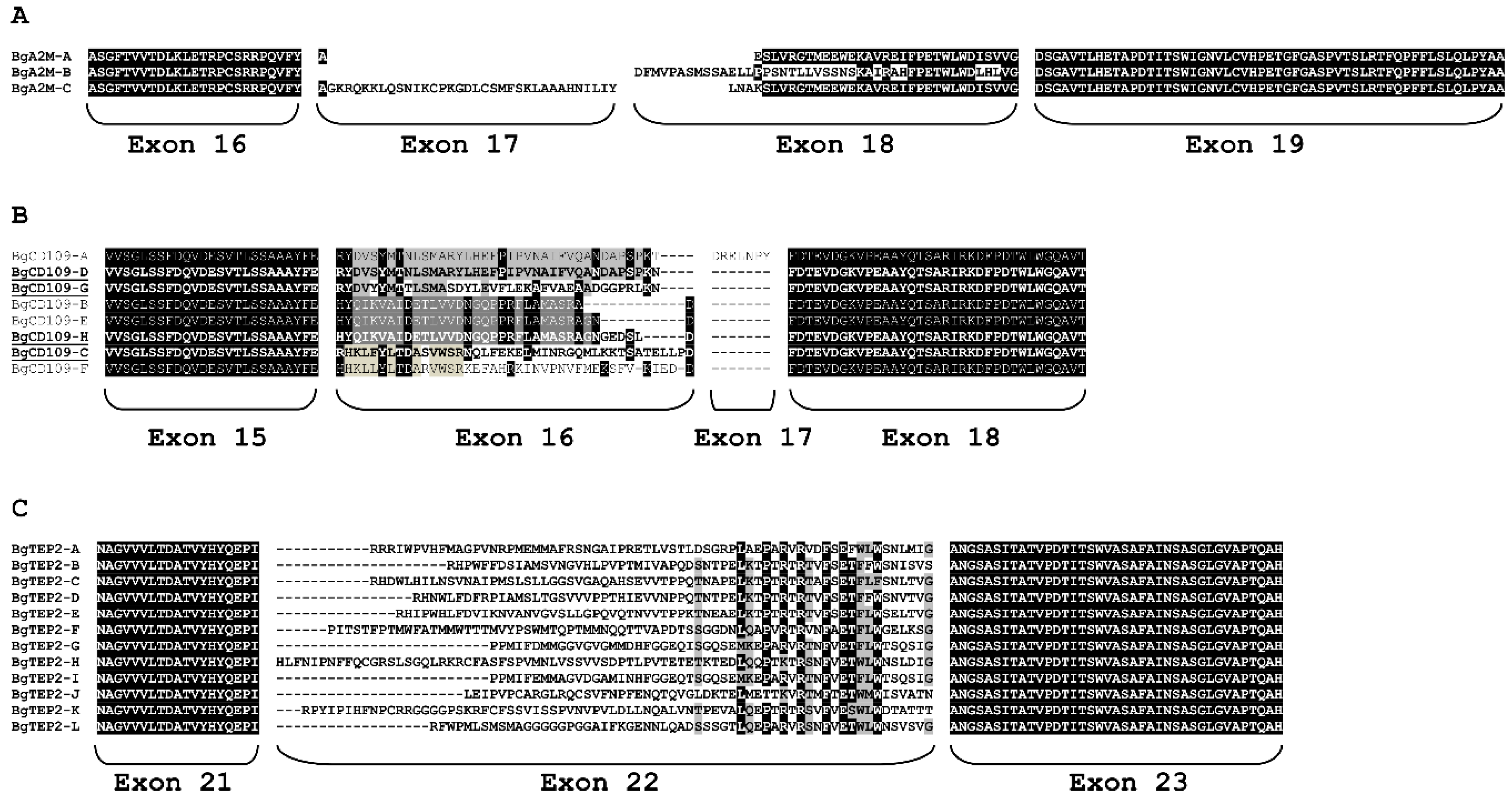 Genes 11 00069 g003 Genes 11 00069 g003