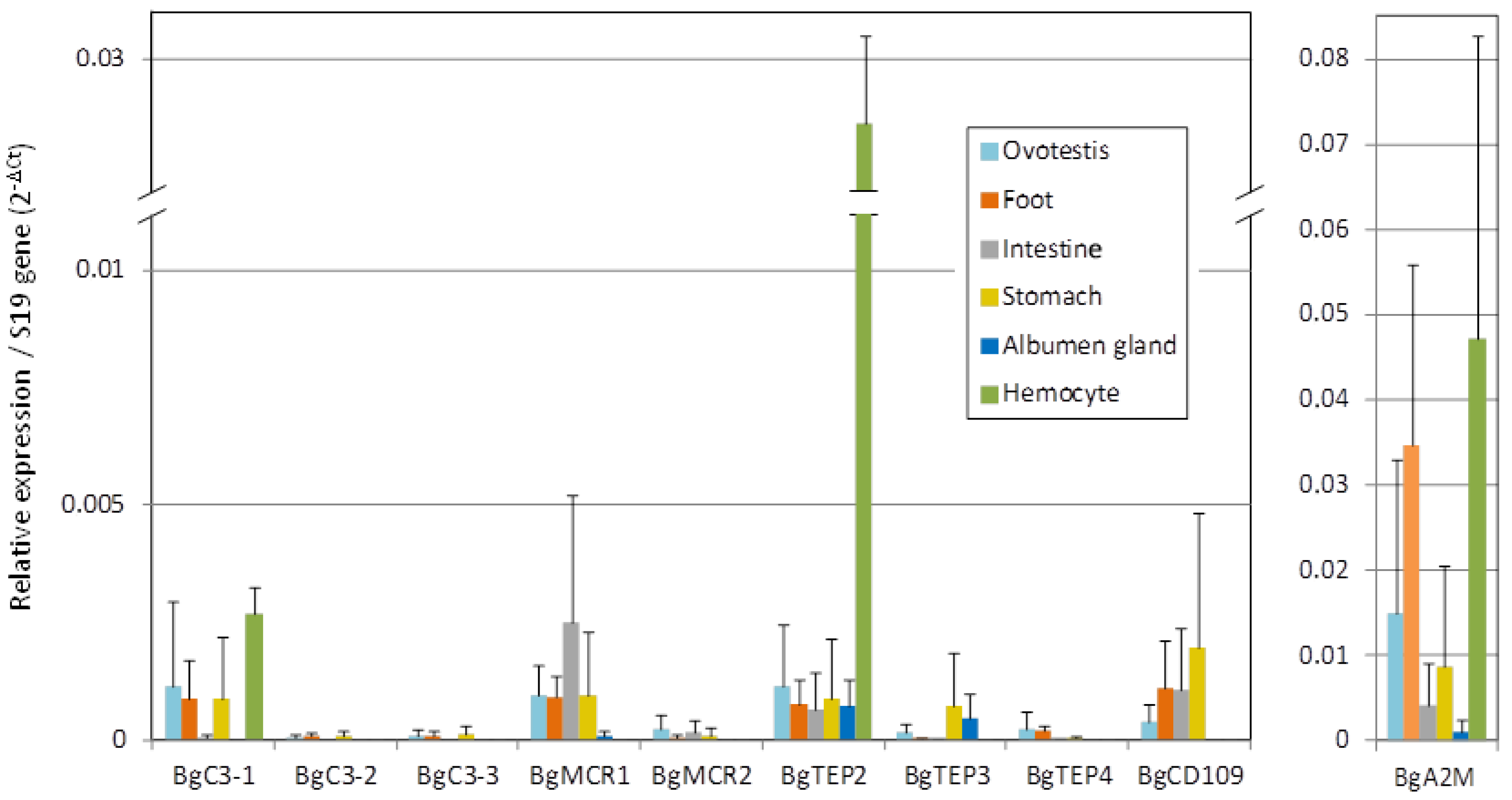 Genes 11 00069 g004 Genes 11 00069 g004