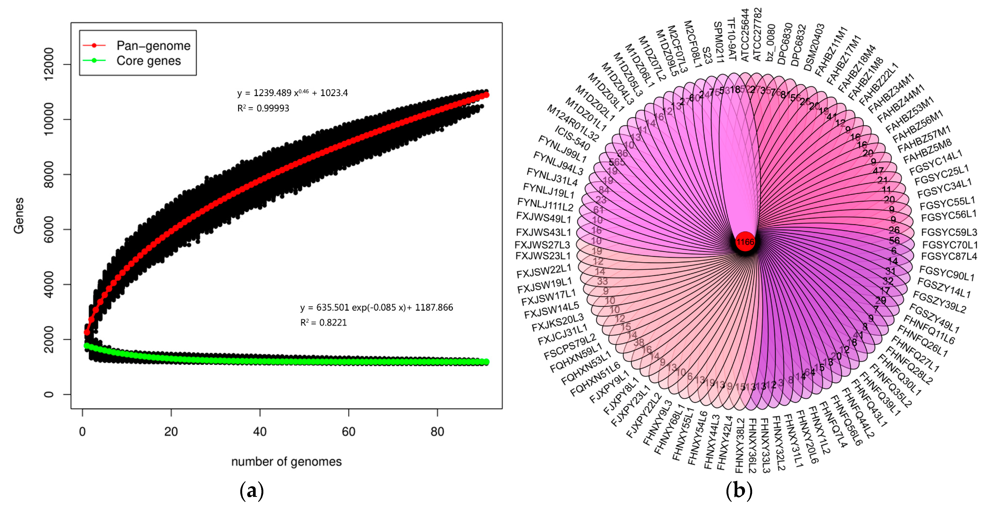 Genes 11 00070 g001 Genes 11 00070 g001