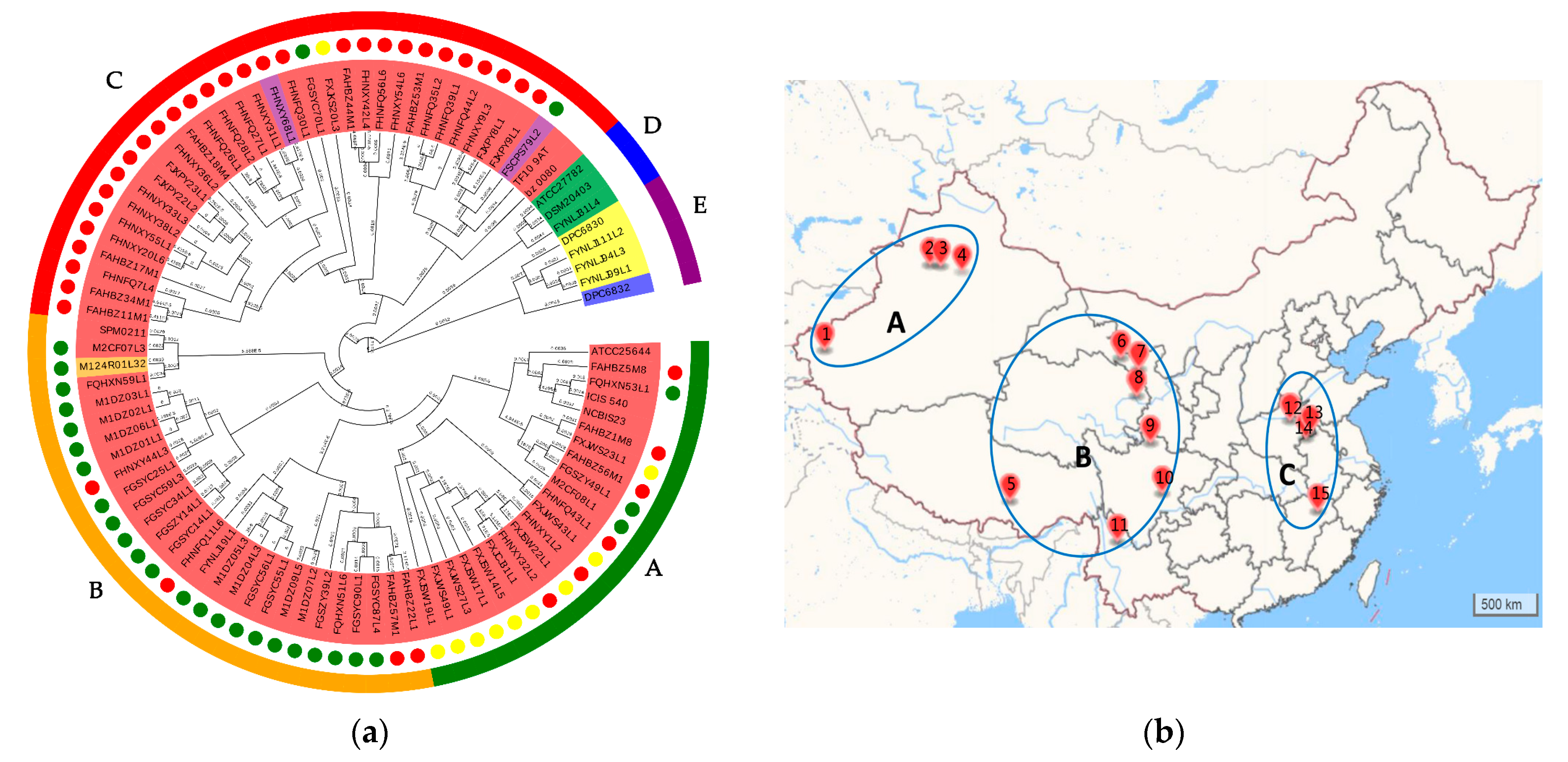 Genes 11 00070 g002 Genes 11 00070 g002