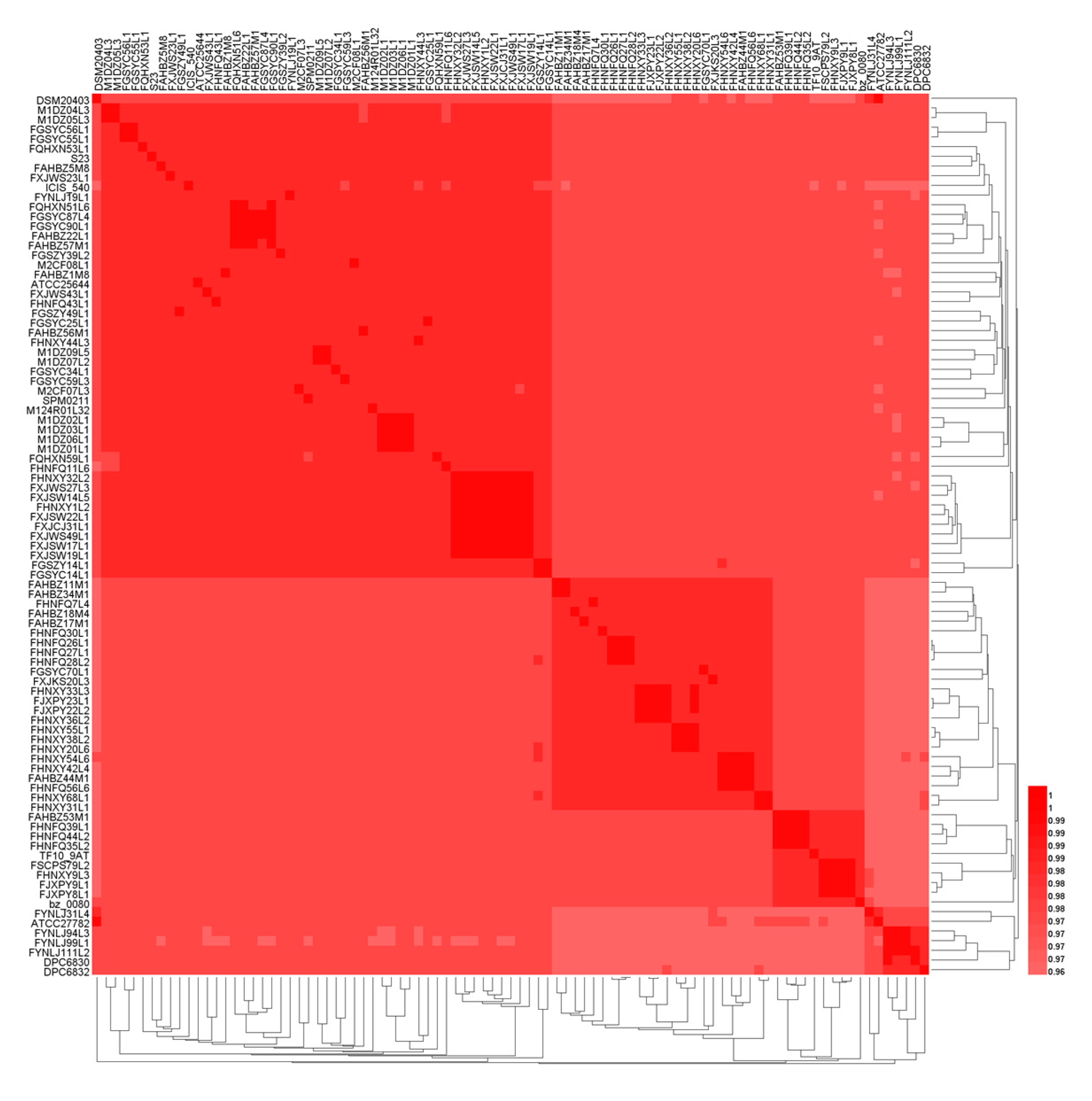 Genes 11 00070 g003 Genes 11 00070 g003