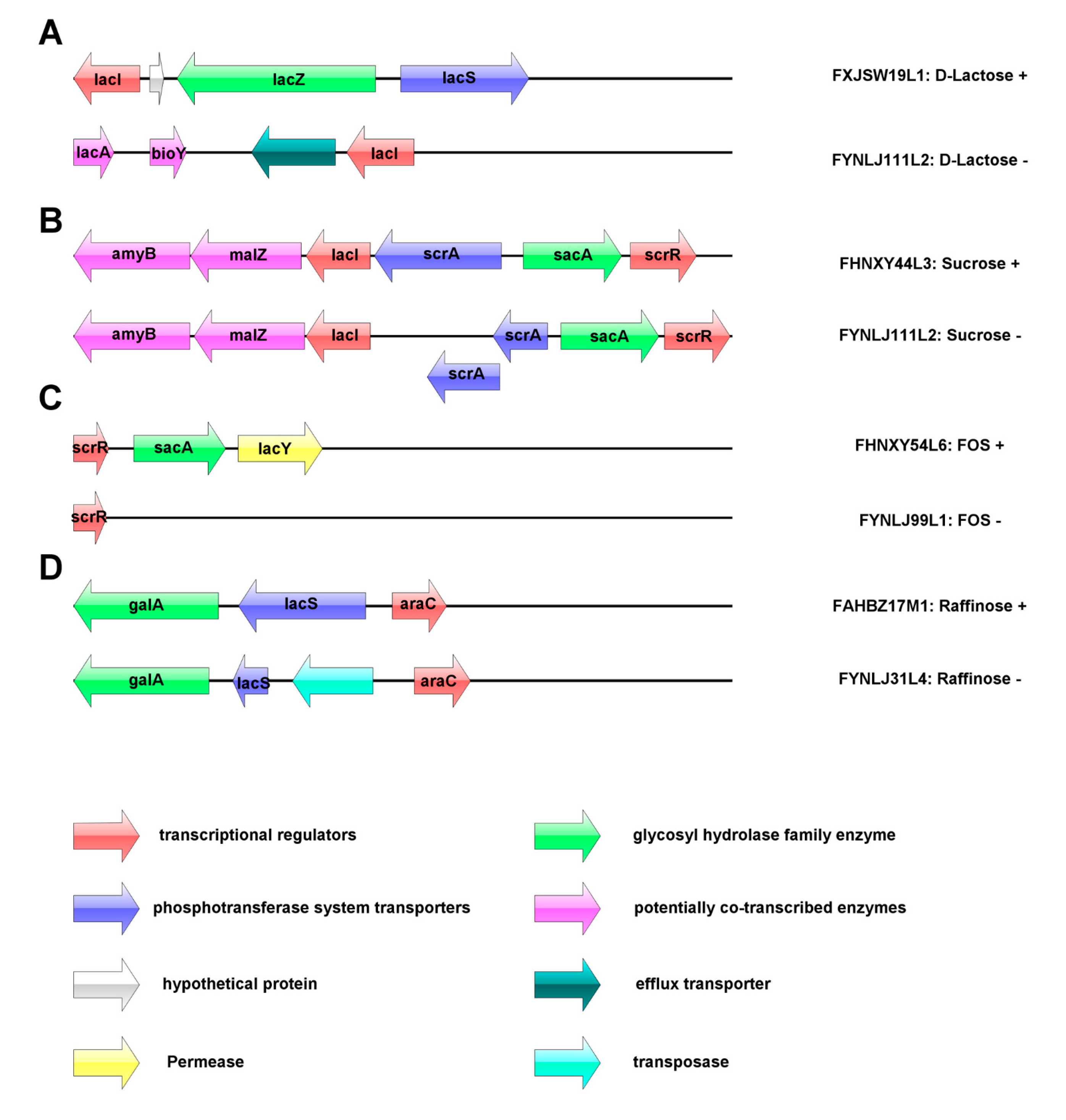 Genes 11 00070 g005 Genes 11 00070 g005