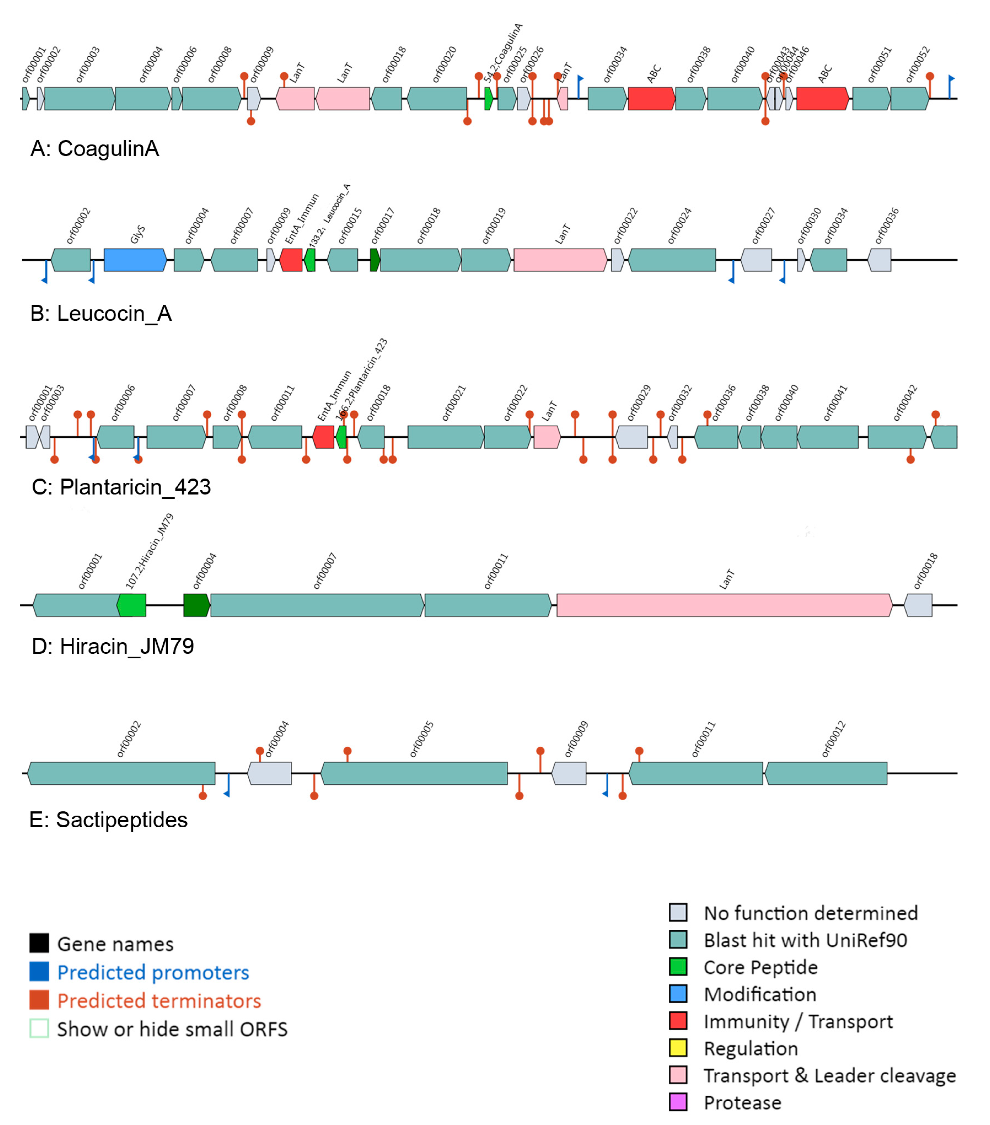 Genes 11 00070 g007 Genes 11 00070 g007
