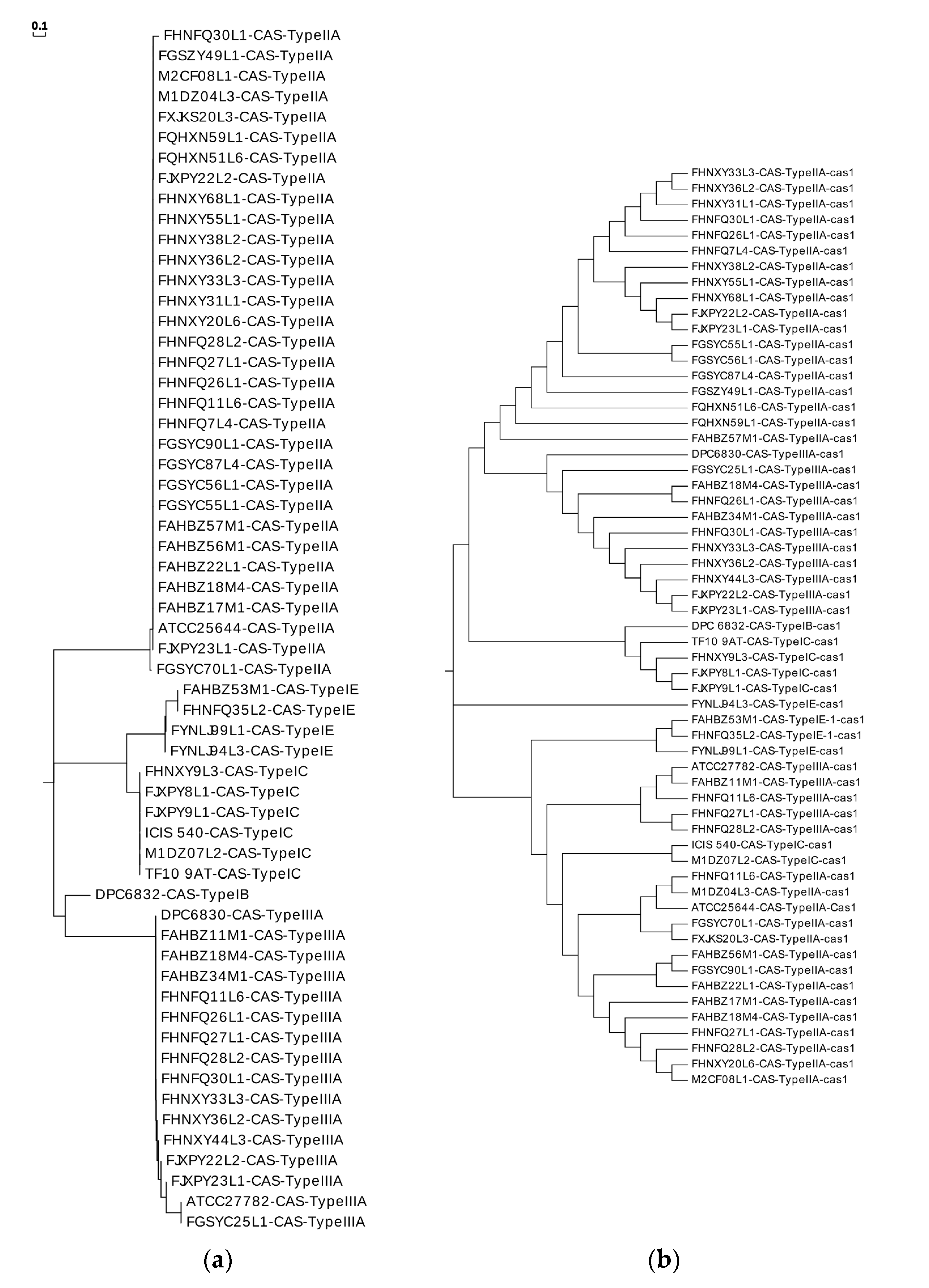 Genes 11 00070 g008 Genes 11 00070 g008