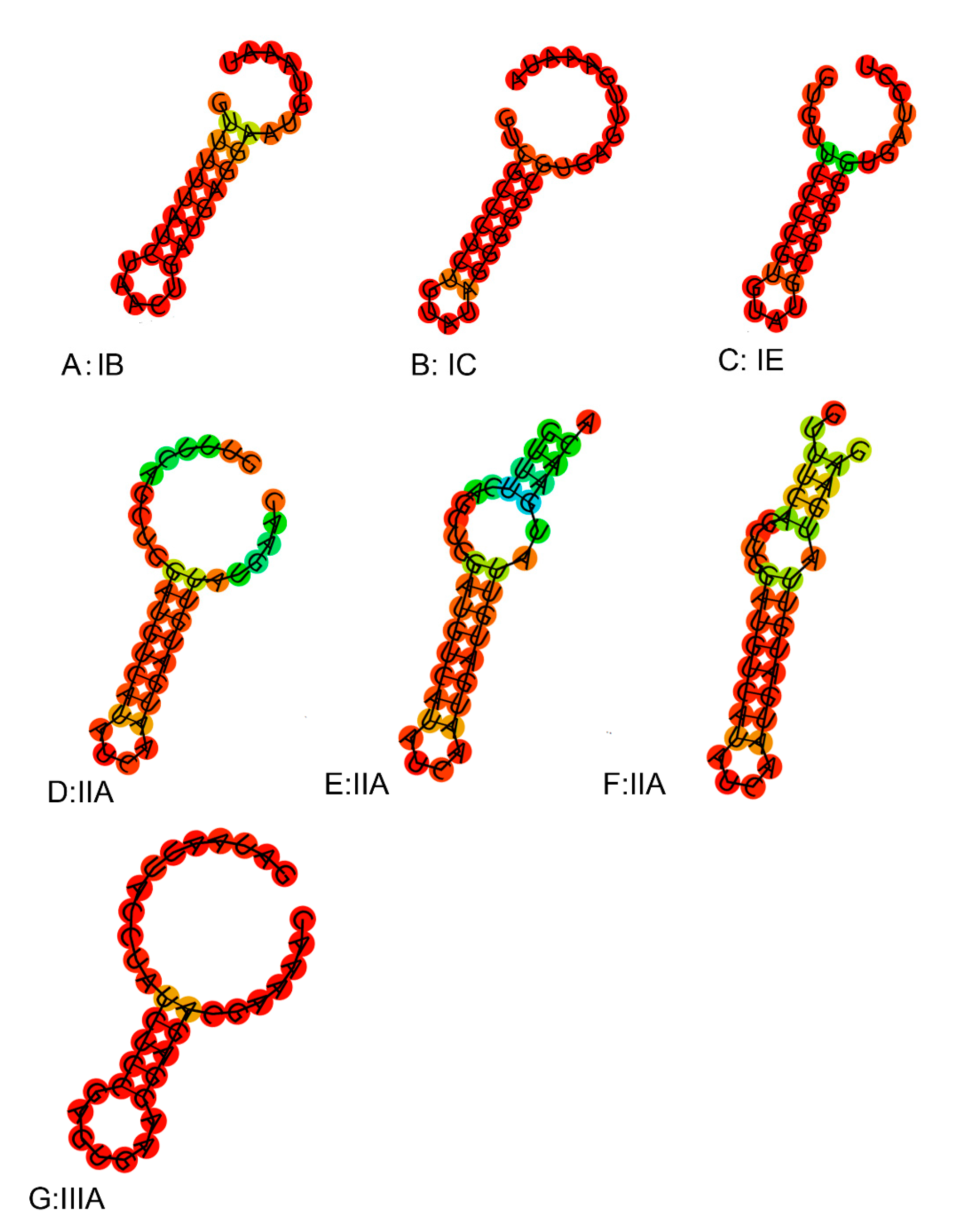 Genes 11 00070 g009 Genes 11 00070 g009