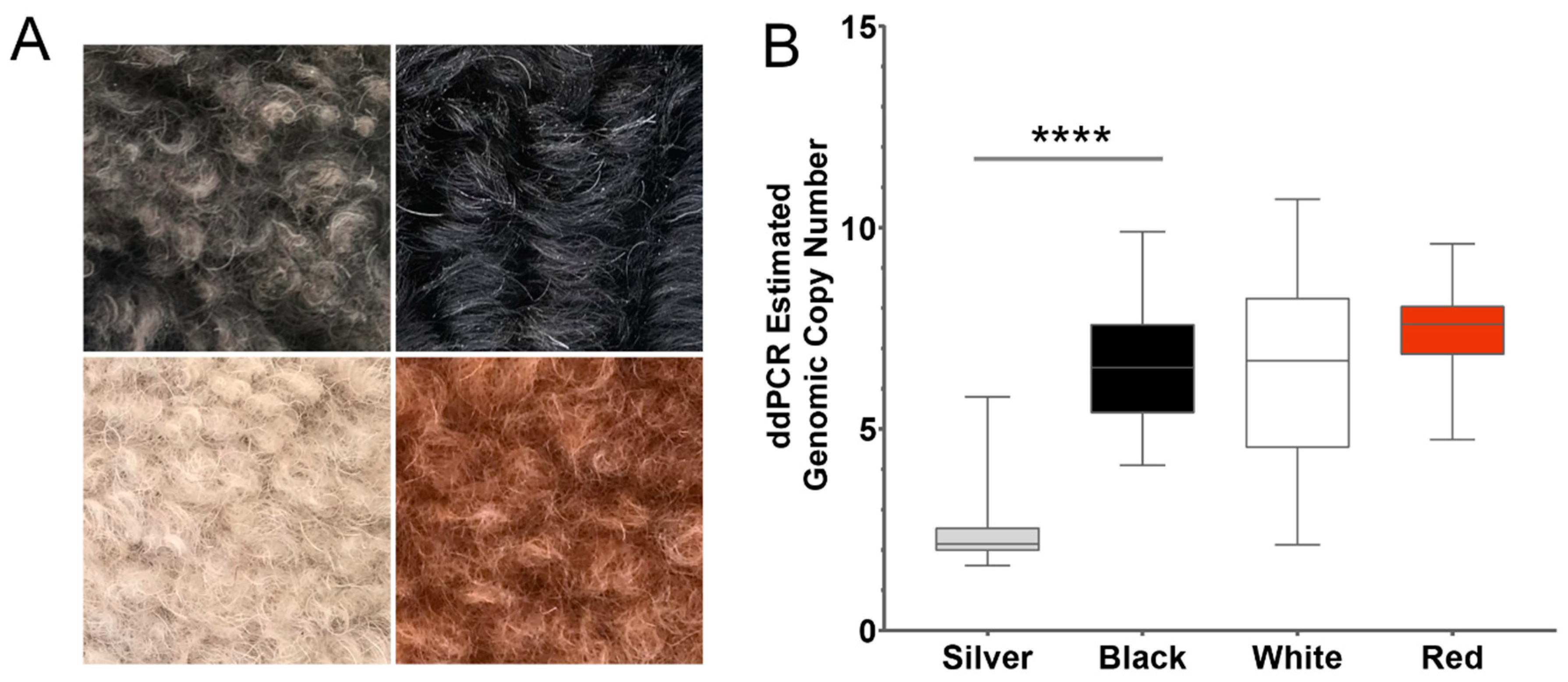 Genes 11 00075 g003 Genes 11 00075 g003