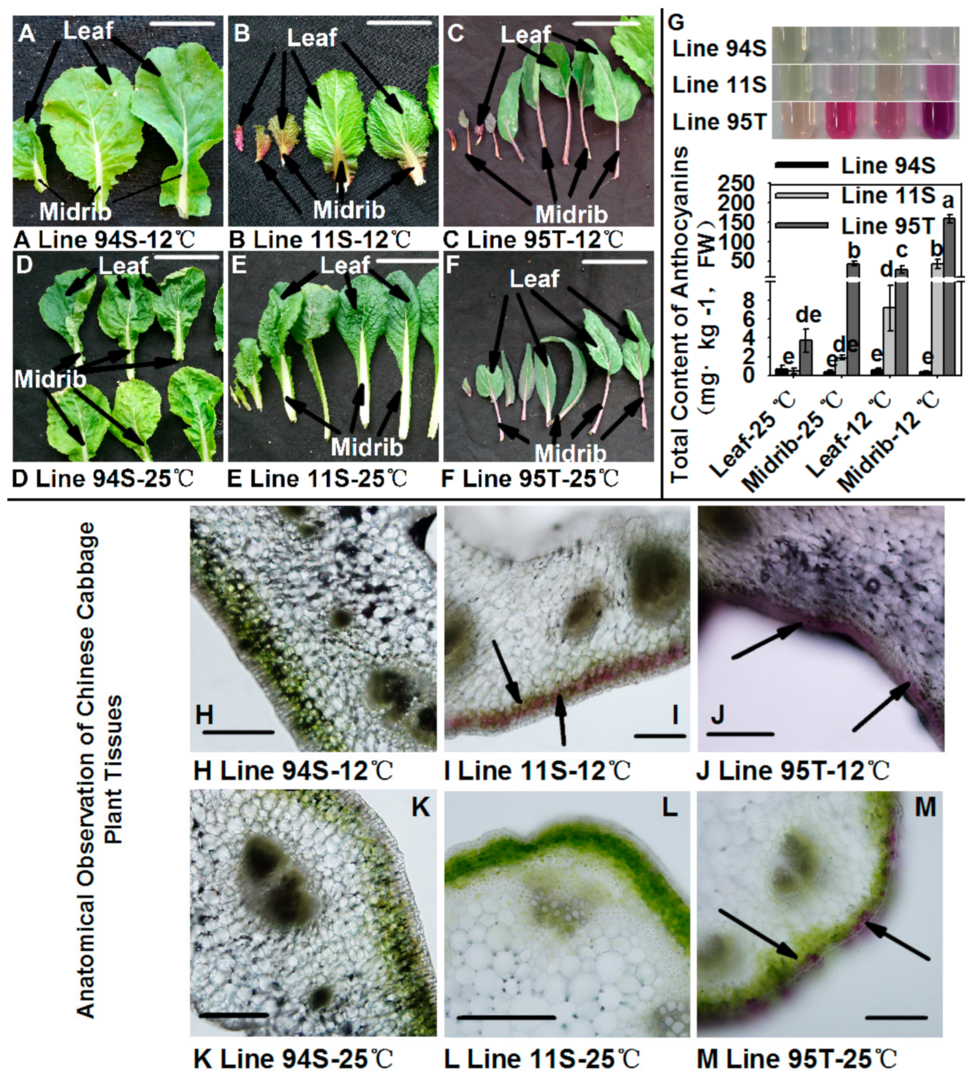 Genes 11 00081 g001 Genes 11 00081 g001