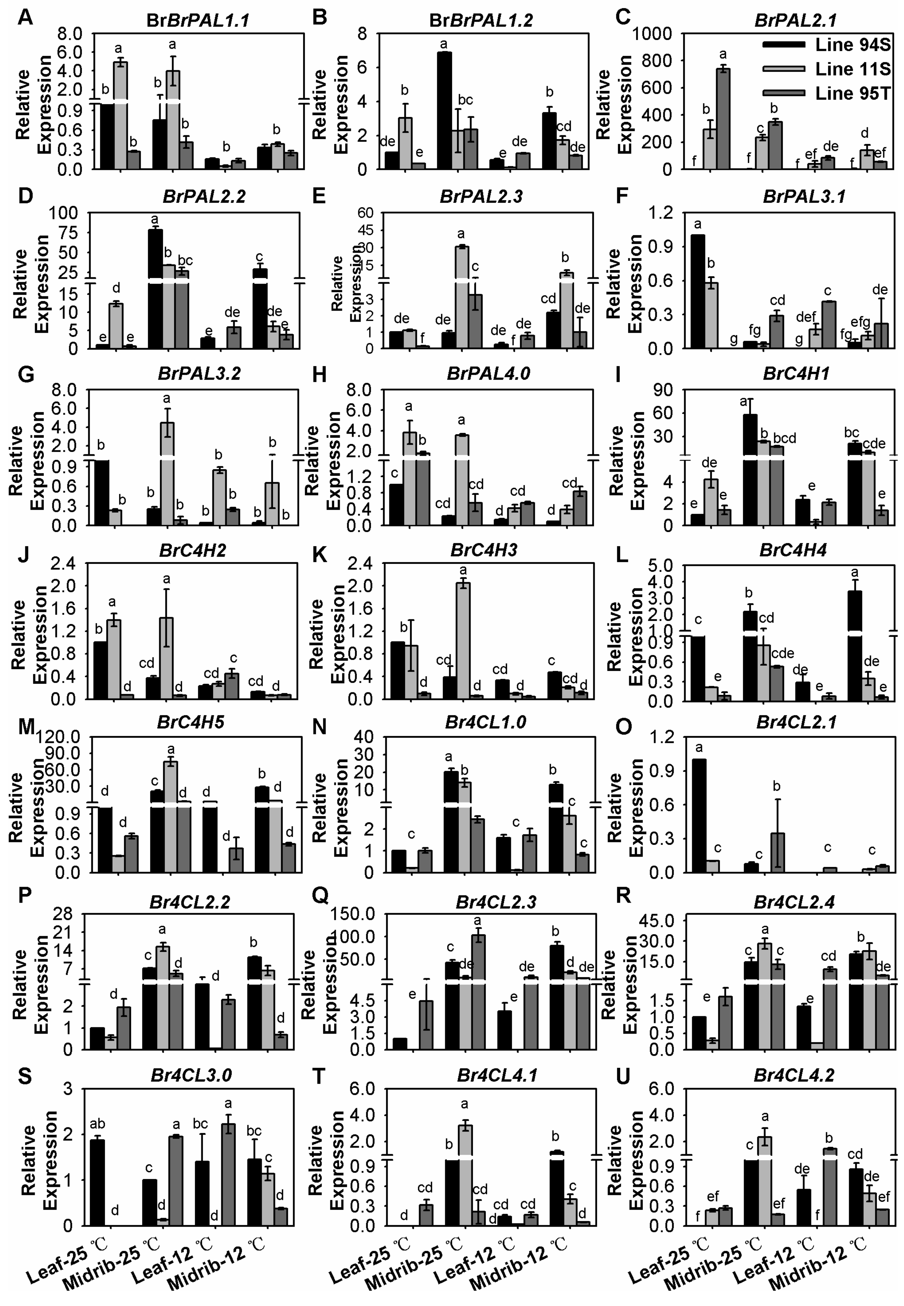 Genes 11 00081 g002 Genes 11 00081 g002
