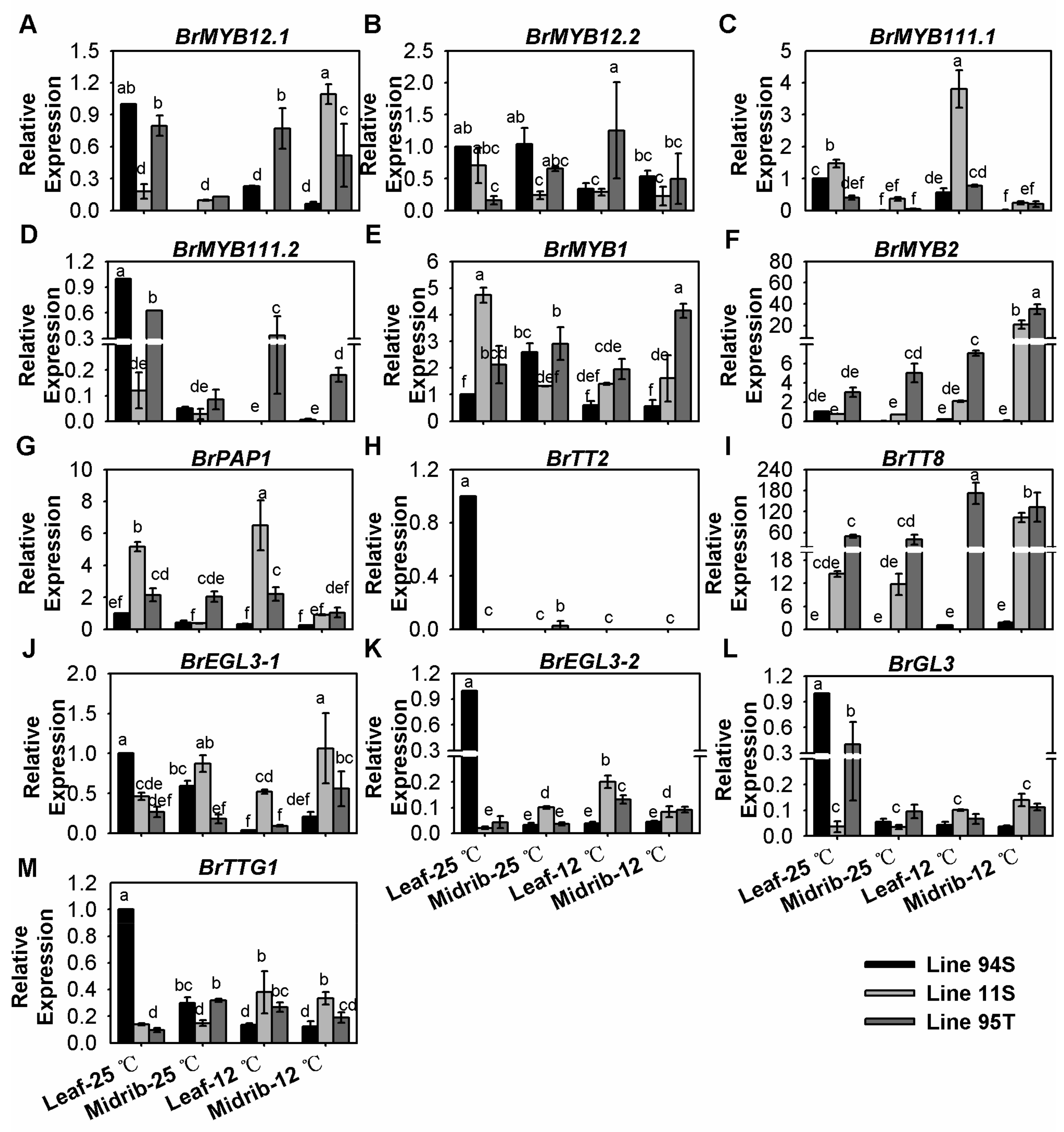 Genes 11 00081 g005 Genes 11 00081 g005