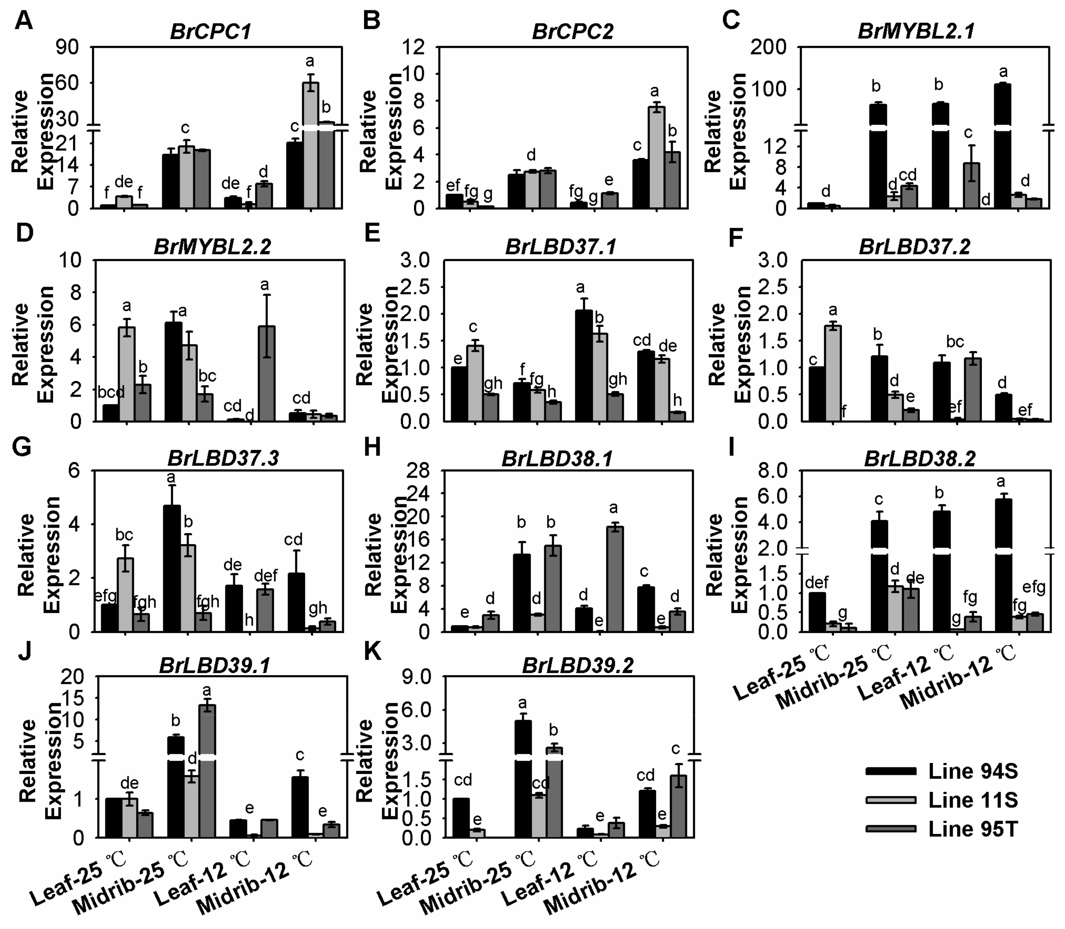 Genes 11 00081 g006 Genes 11 00081 g006