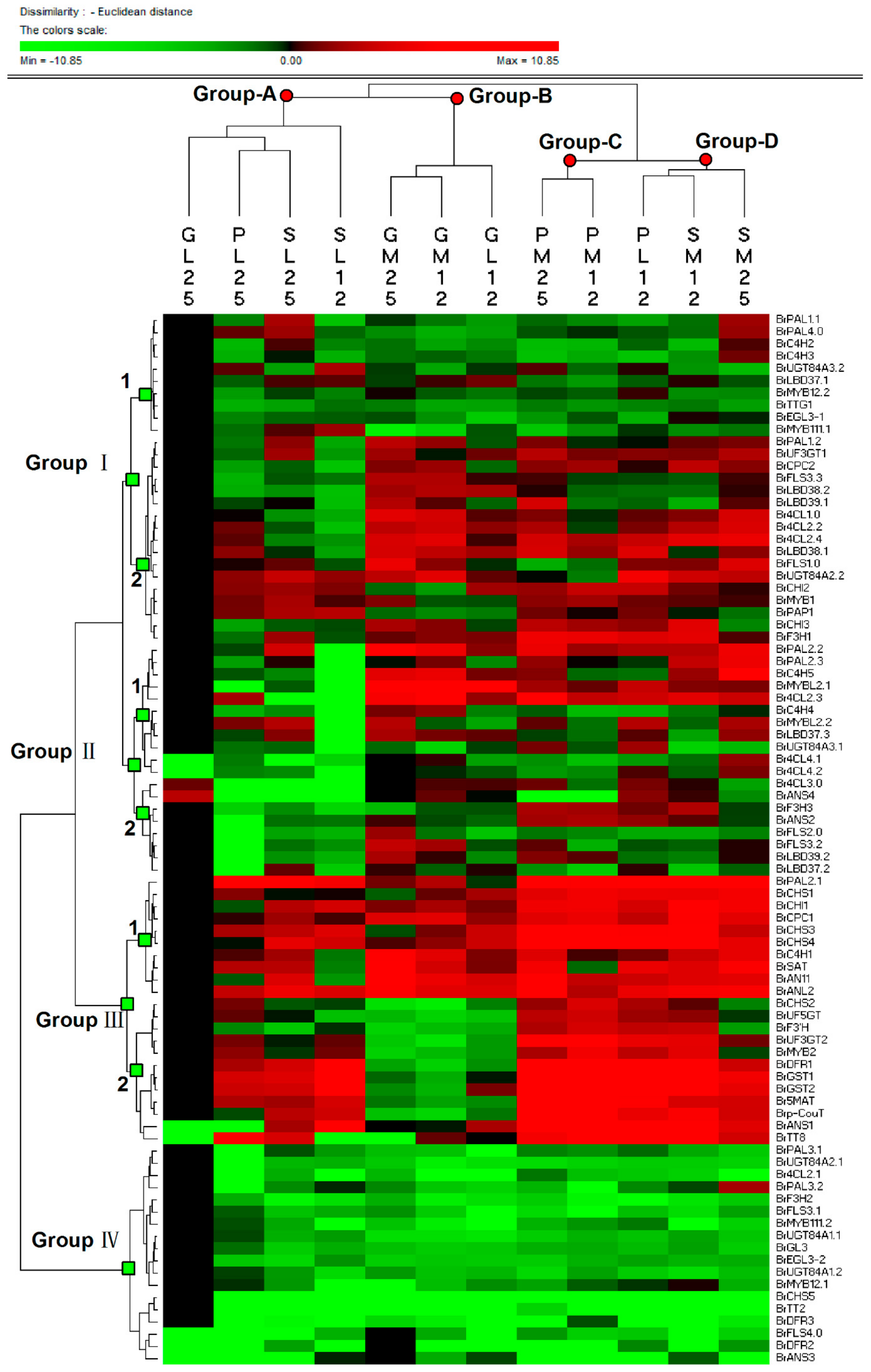Genes 11 00081 g007 Genes 11 00081 g007