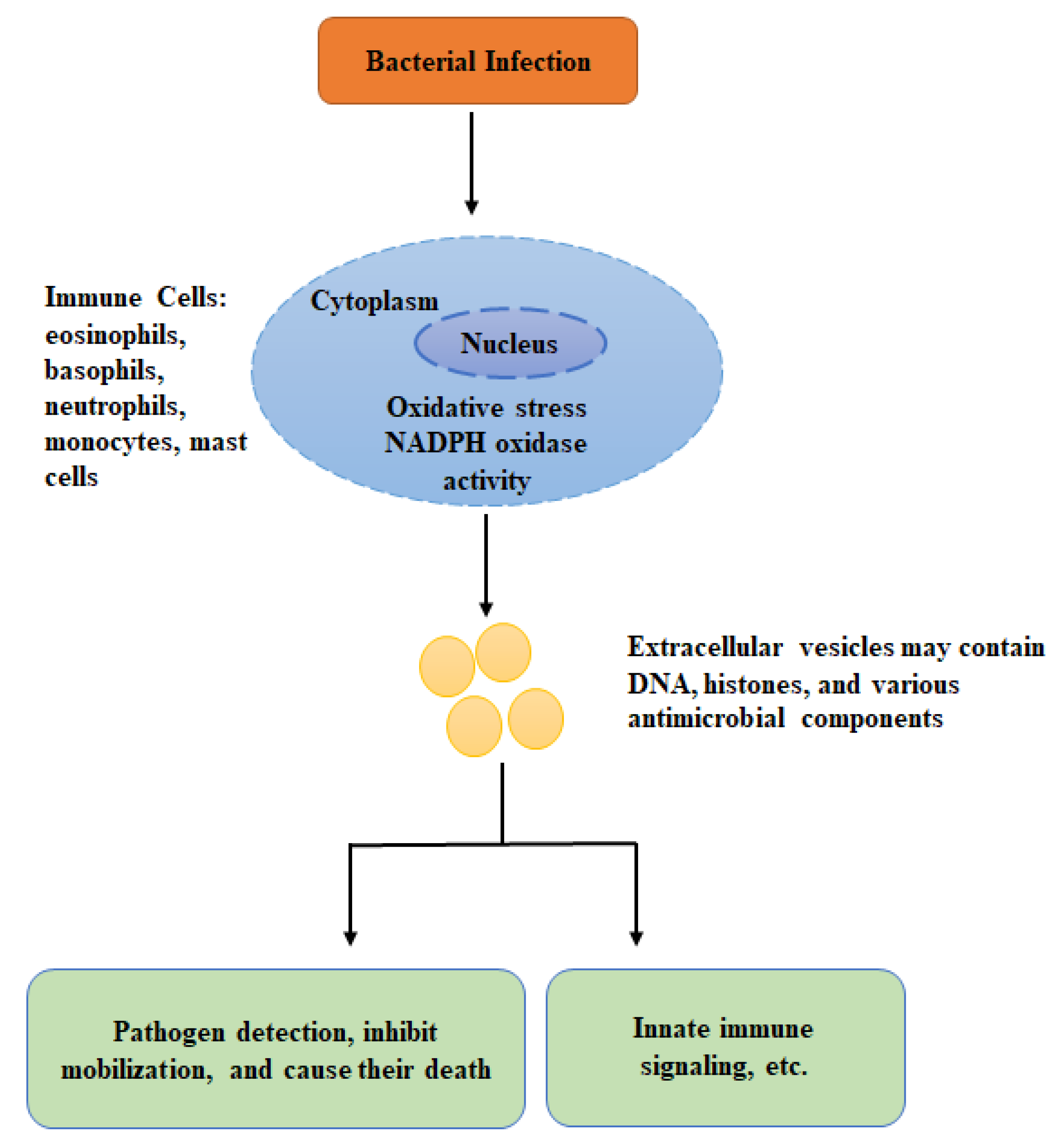 Mitochondrial DNA: A Key Regulator of Anti-Microbial Innate