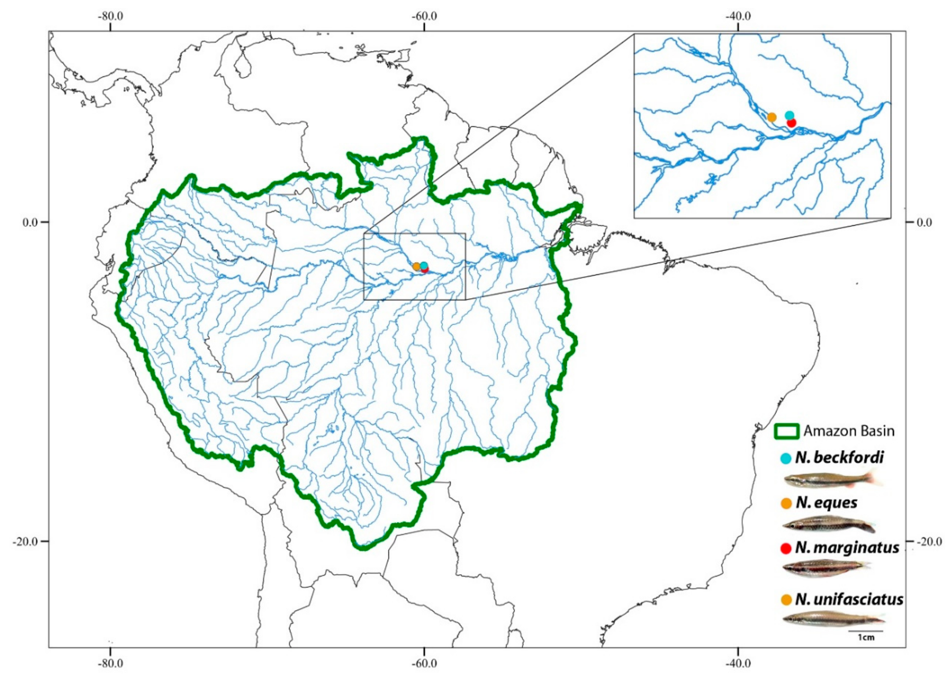 Genes 11 00091 g001 Genes 11 00091 g001