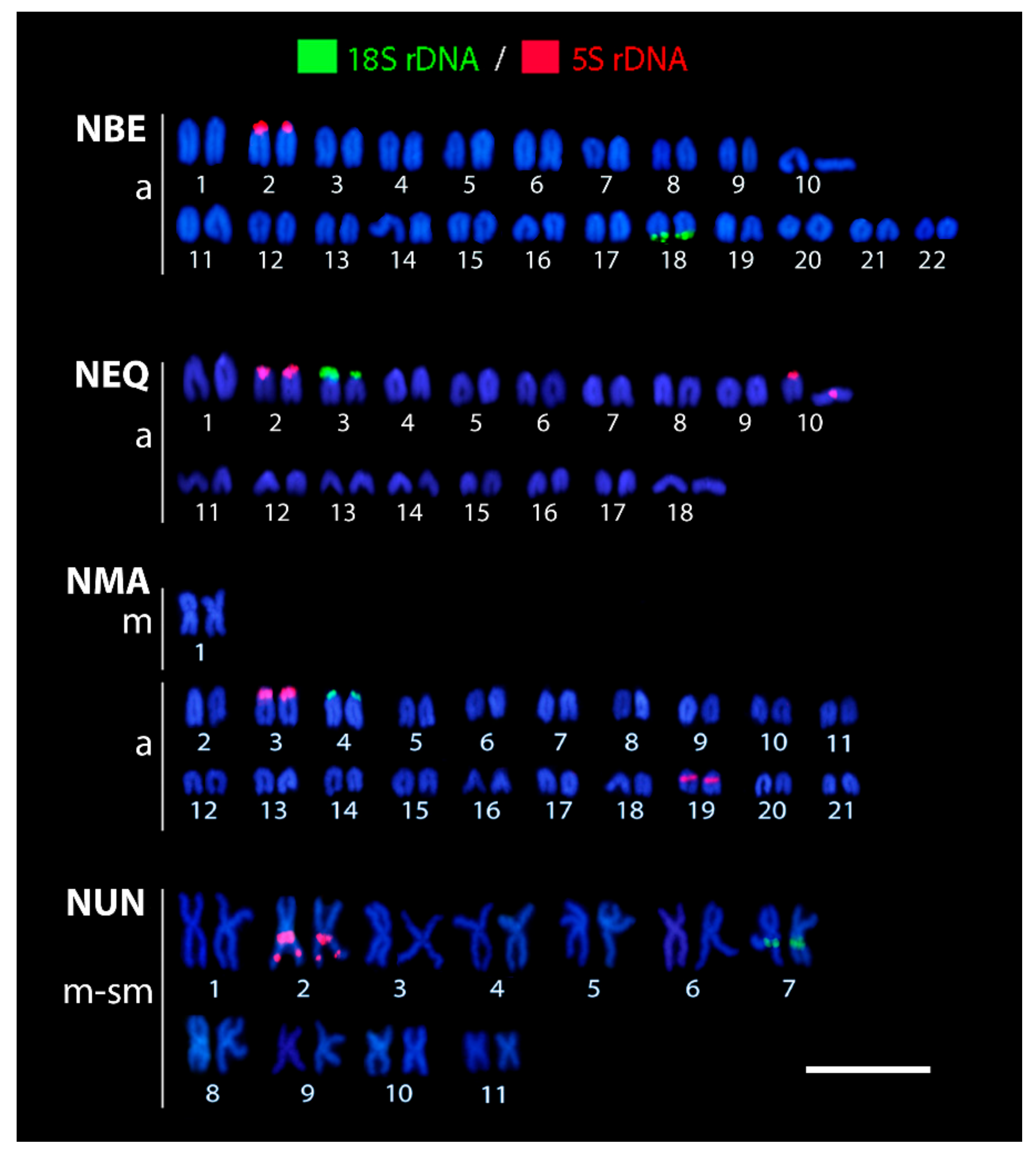 Genes 11 00091 g003 Genes 11 00091 g003