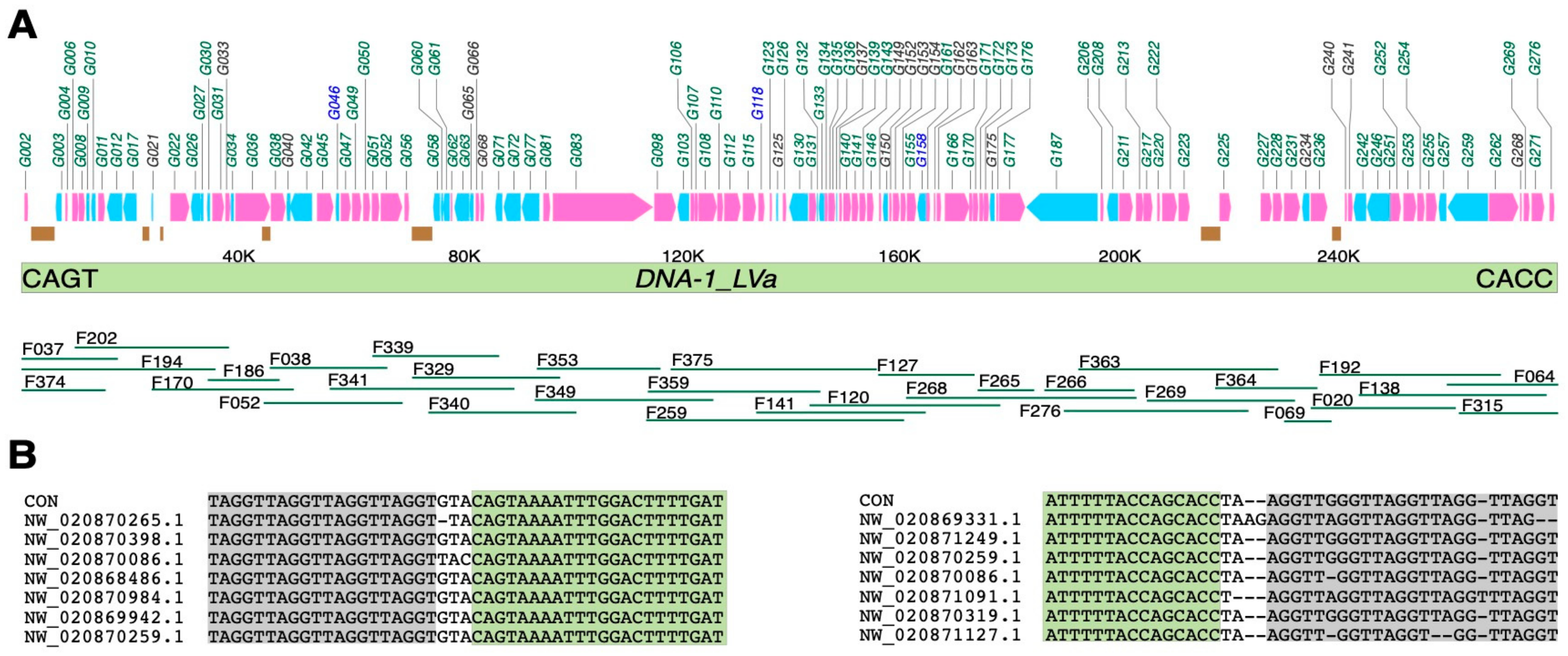 Genes 11 00094 g001 Genes 11 00094 g001