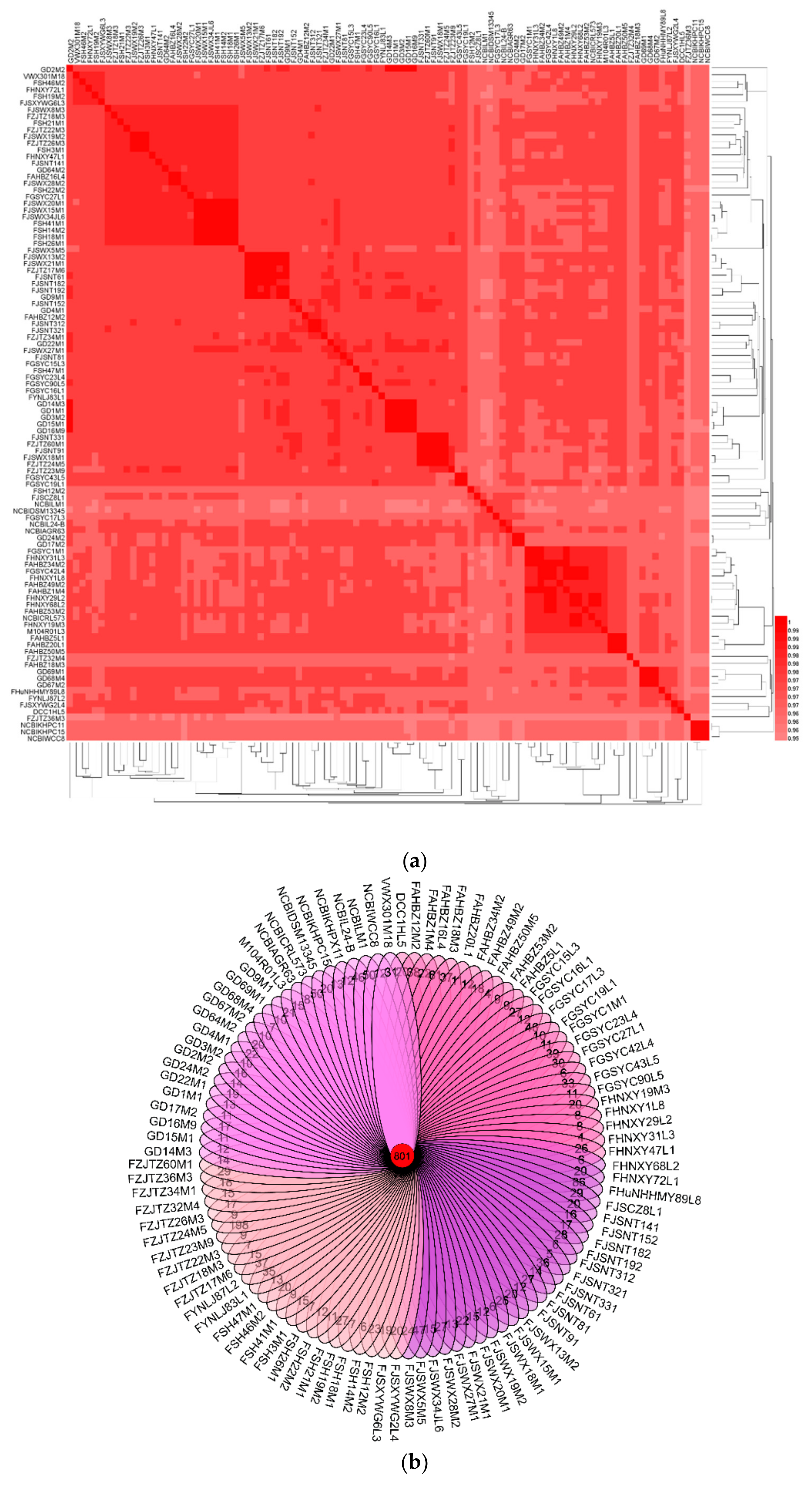 Genes 11 00095 g001a