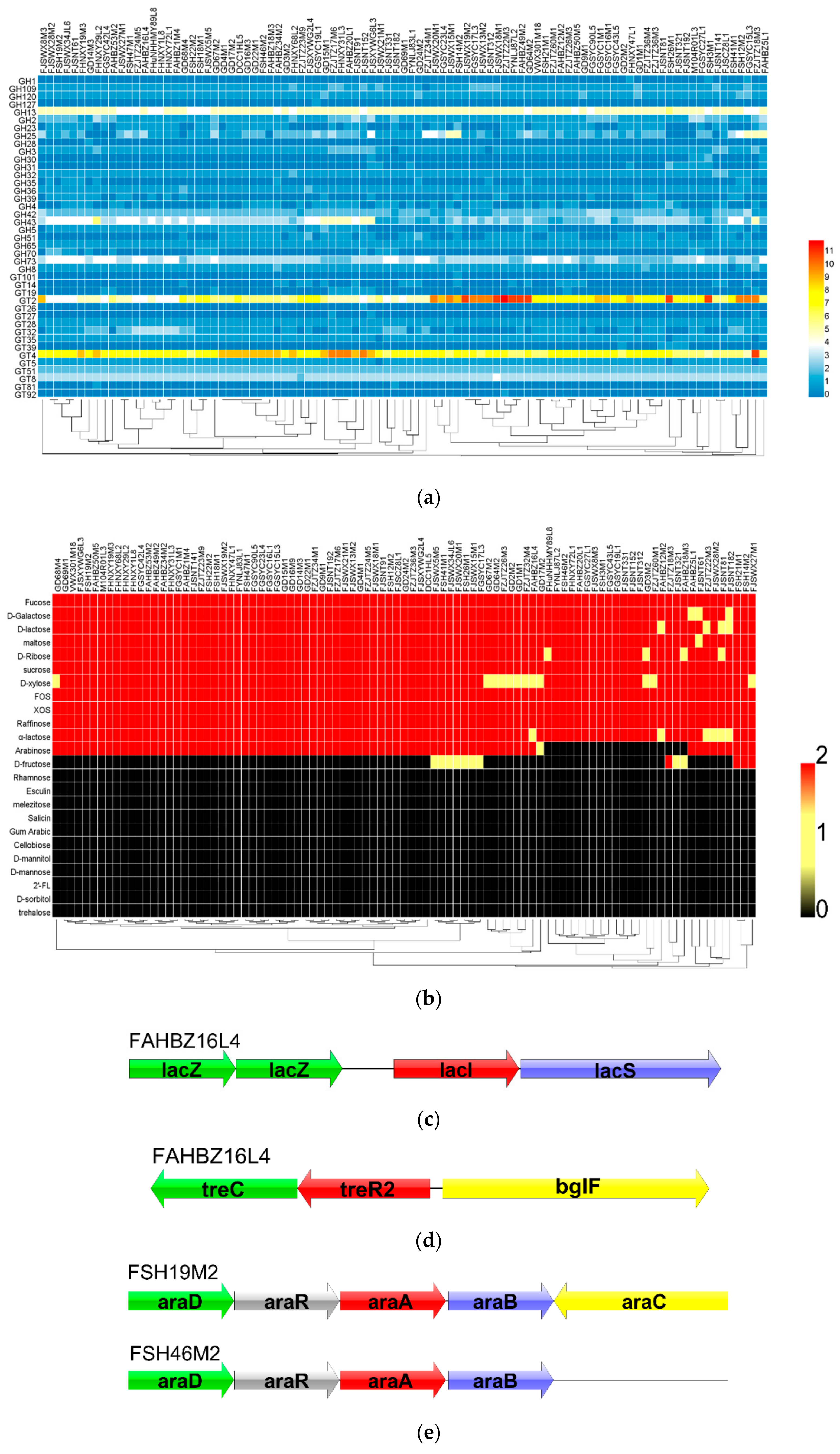 Genes 11 00095 g003a