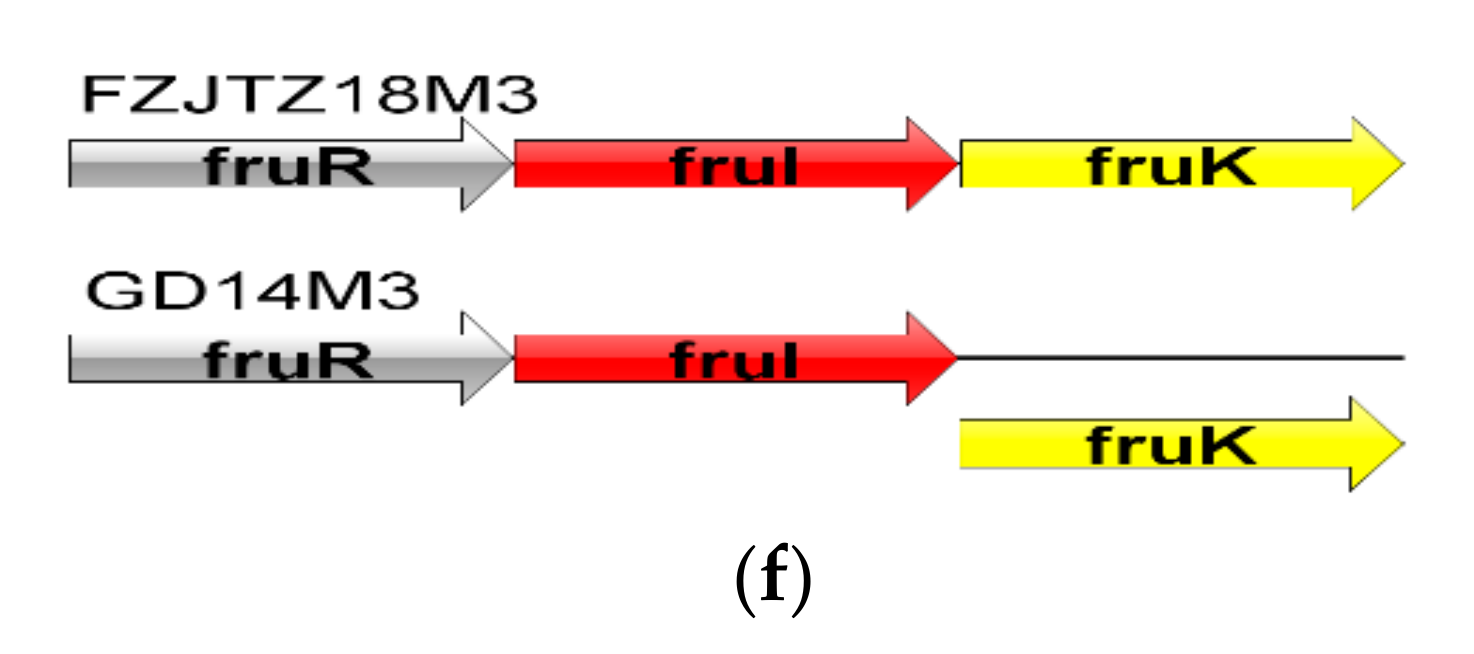 Genes 11 00095 g003b