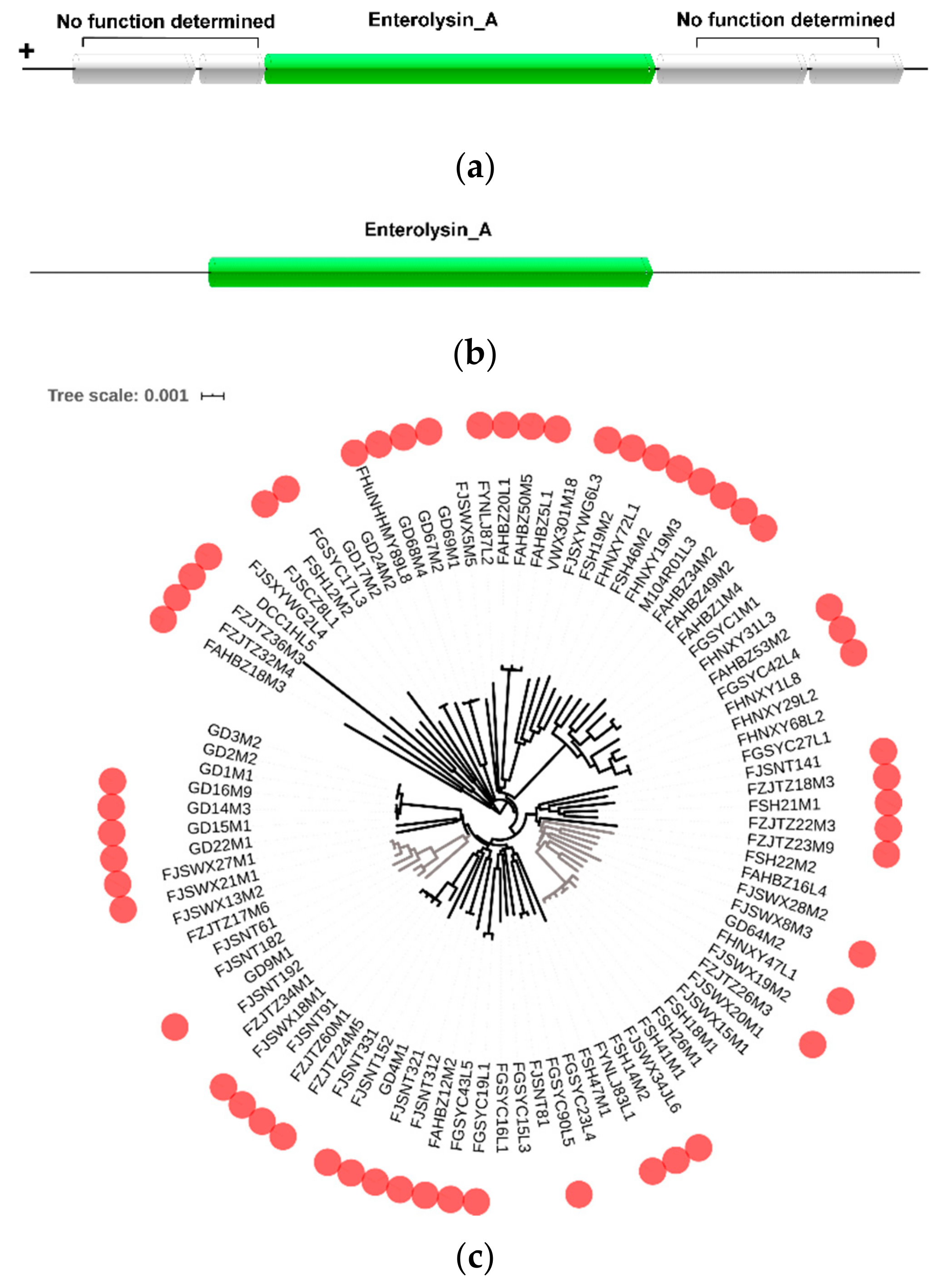 Genes 11 00095 g005