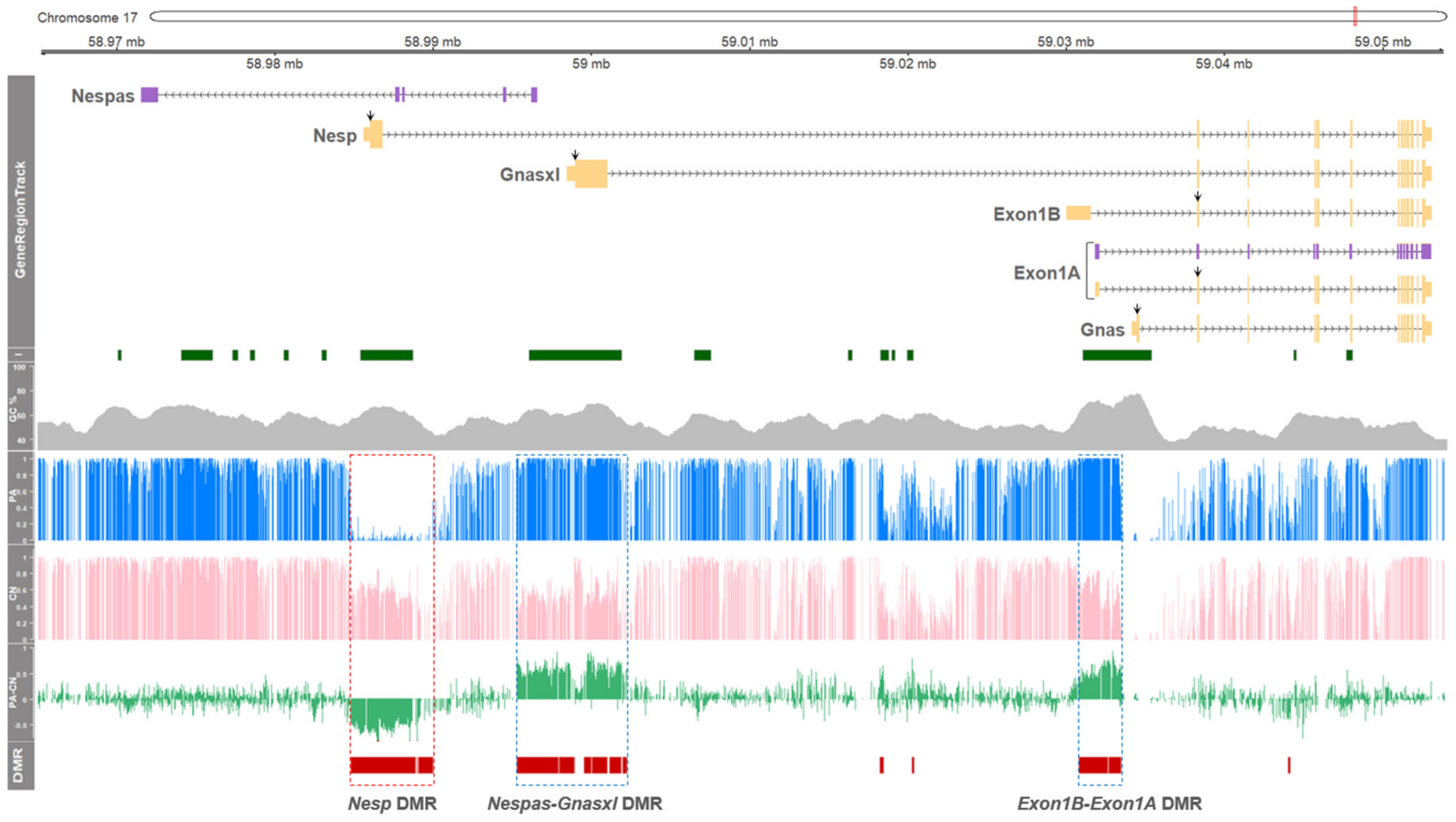 Genes 11 00096 g001 Genes 11 00096 g001