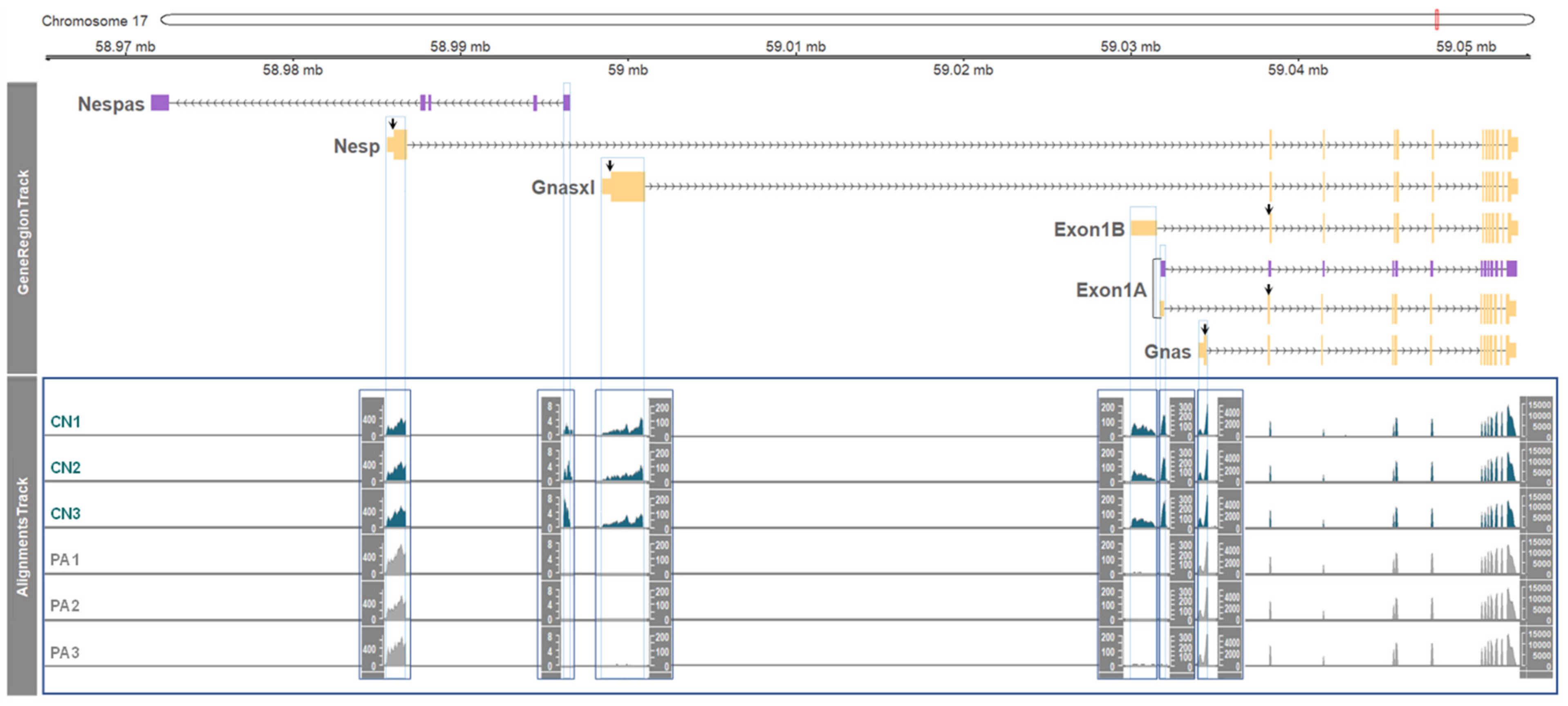 Genes 11 00096 g002 Genes 11 00096 g002