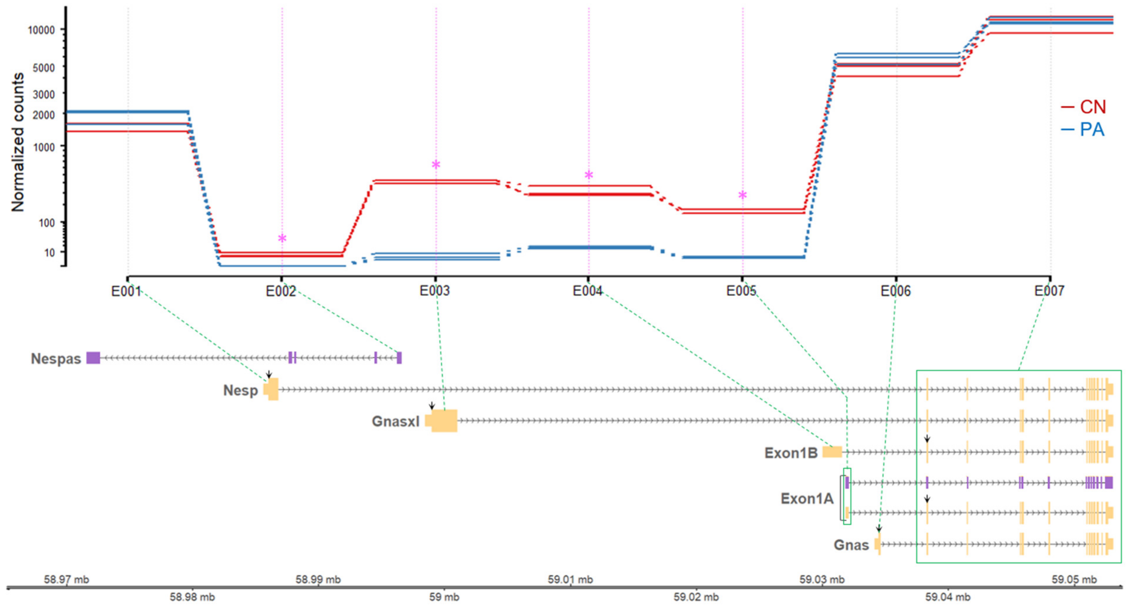 Genes 11 00096 g003 Genes 11 00096 g003