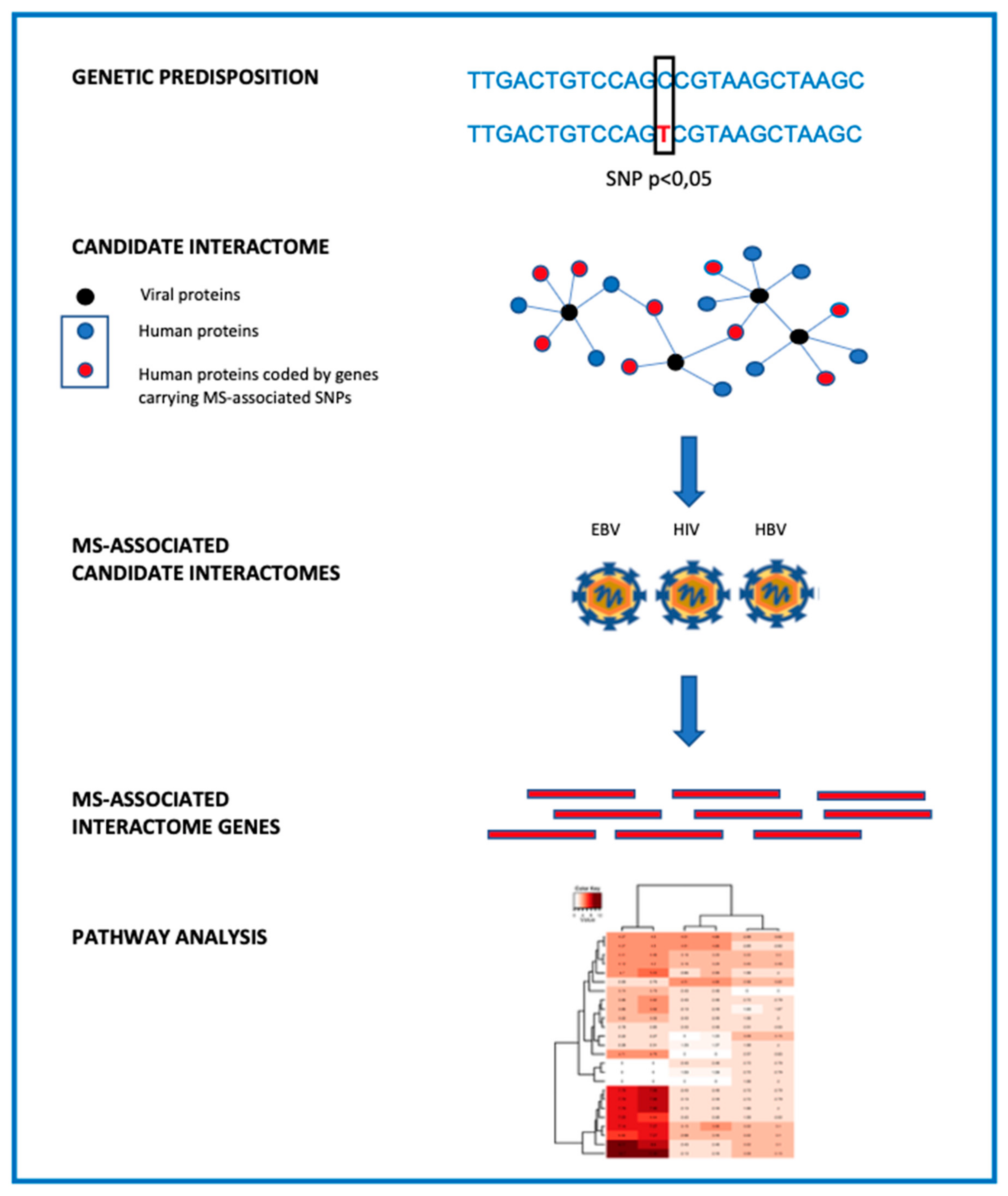 Genes 11 00097 g001