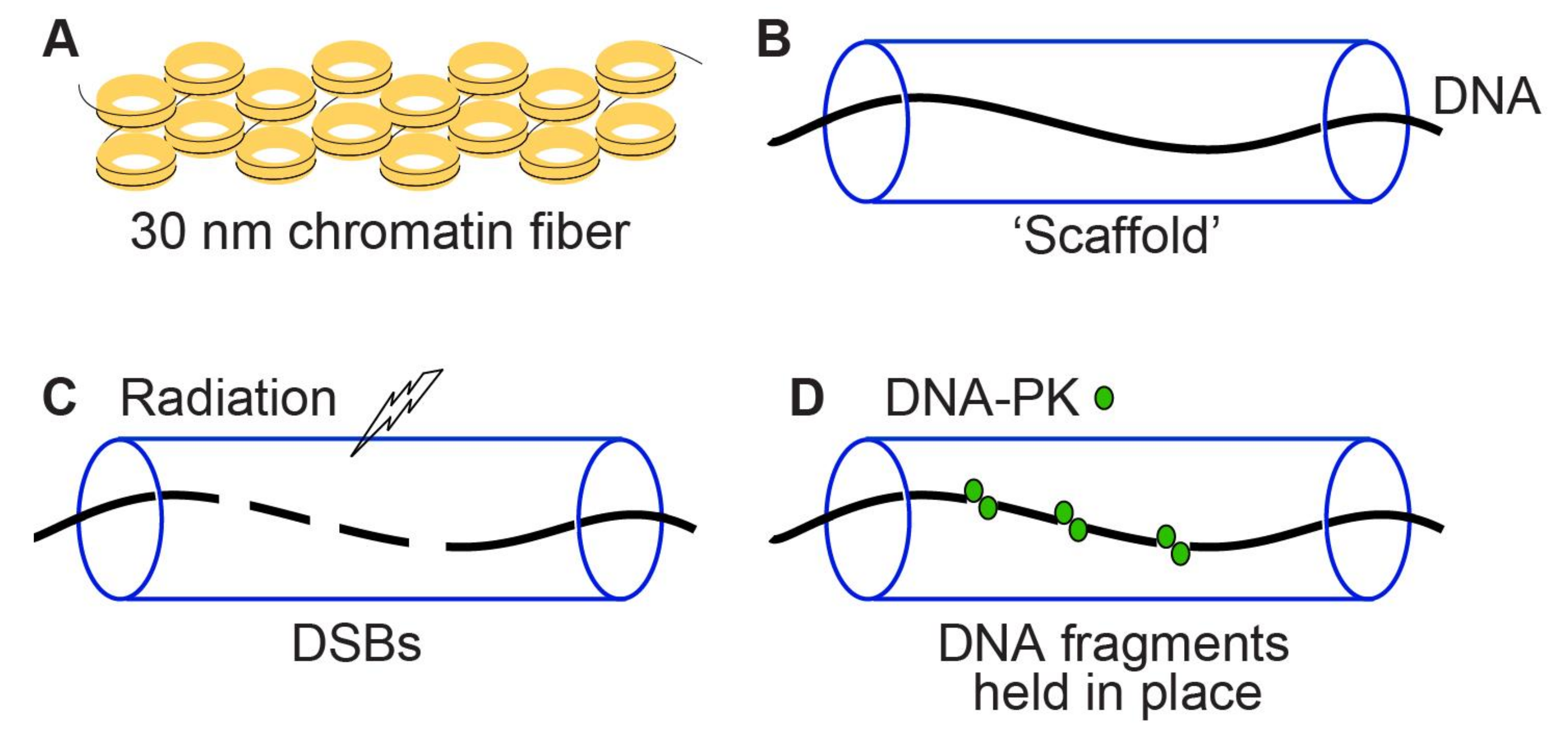 Genes 11 00099 g005 Genes 11 00099 g005