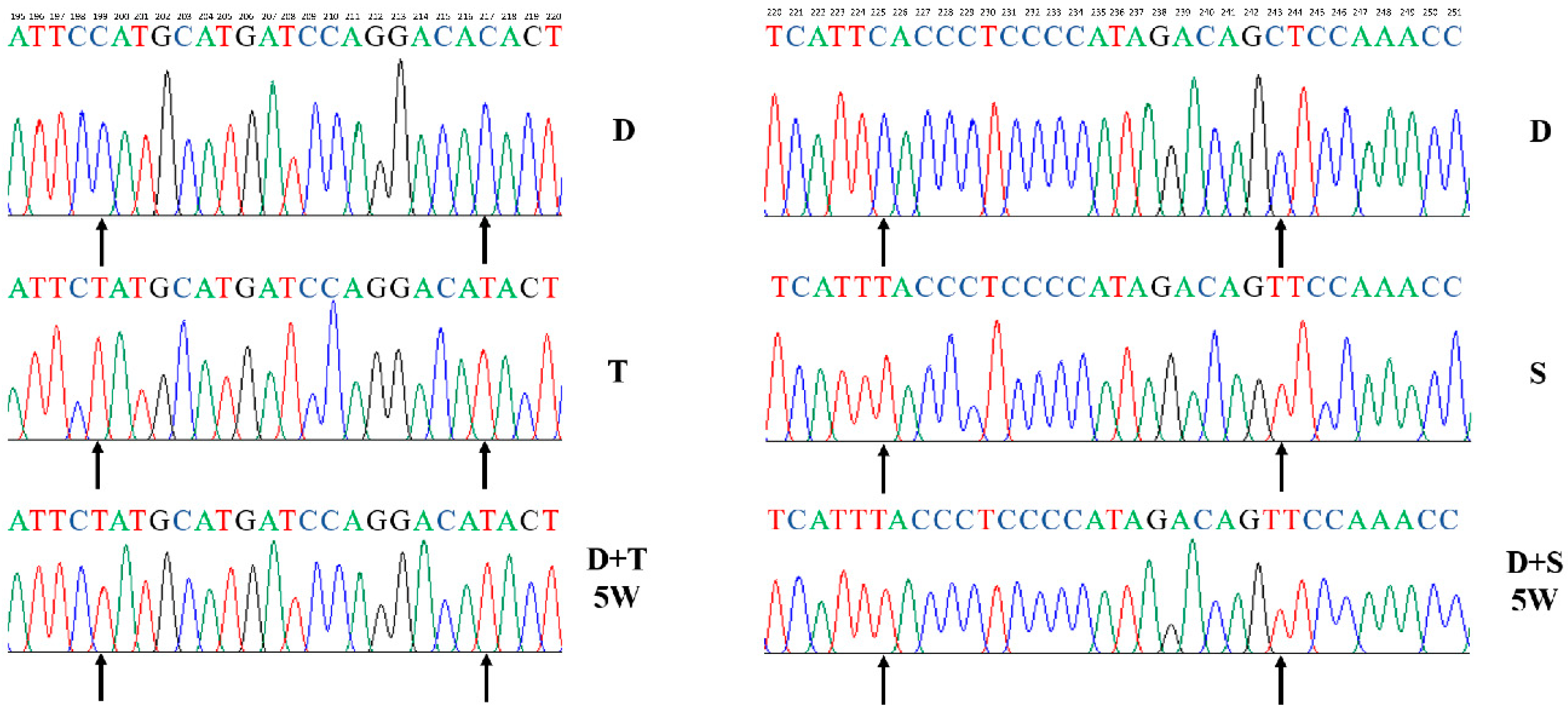 Genes 11 00100 g001 Genes 11 00100 g001