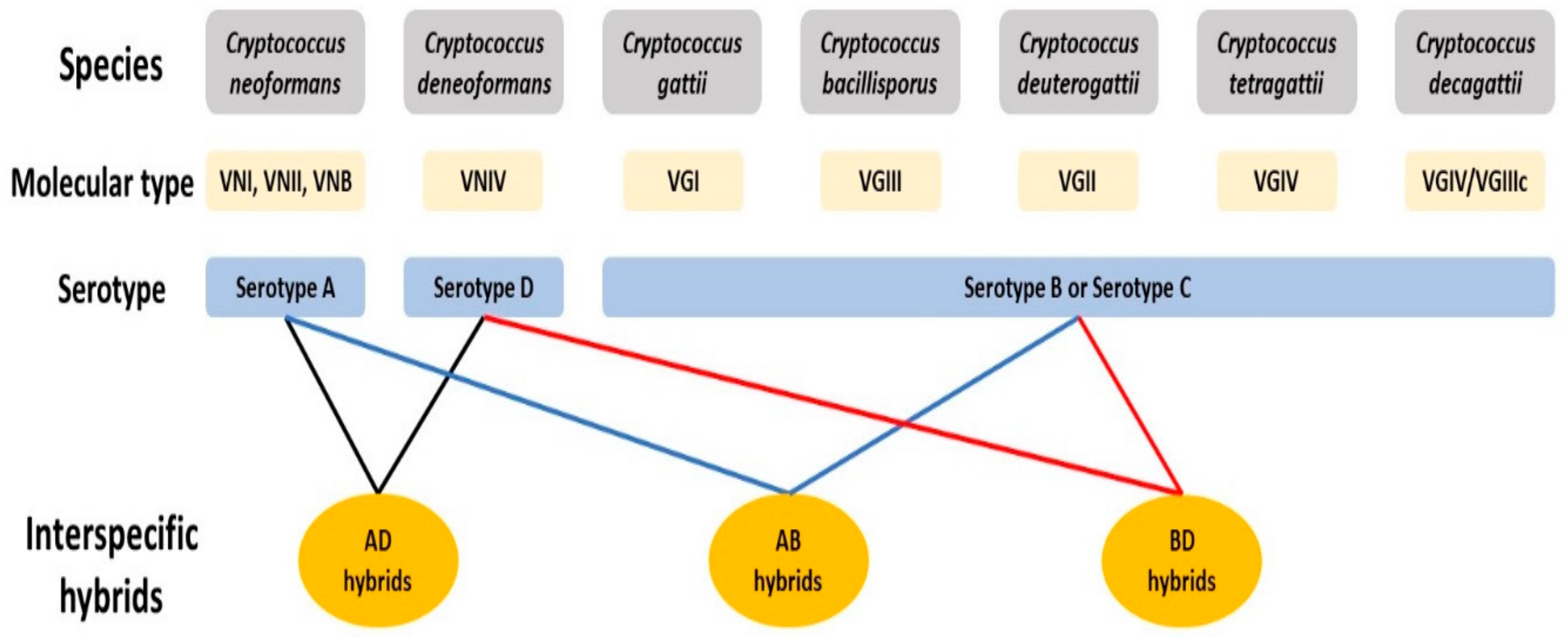 Genes 11 00101 g001