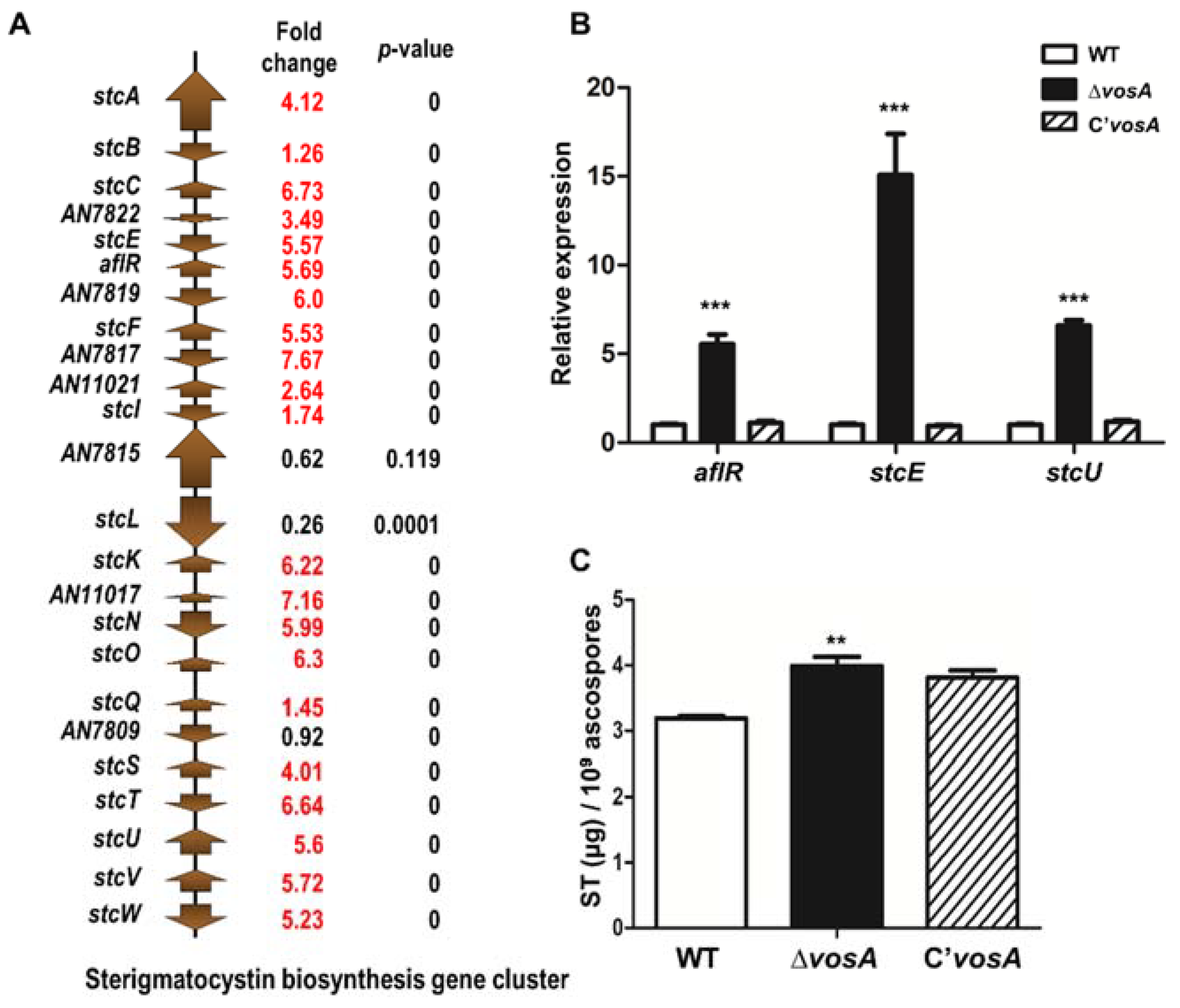 Genes 11 00103 g005 Genes 11 00103 g005