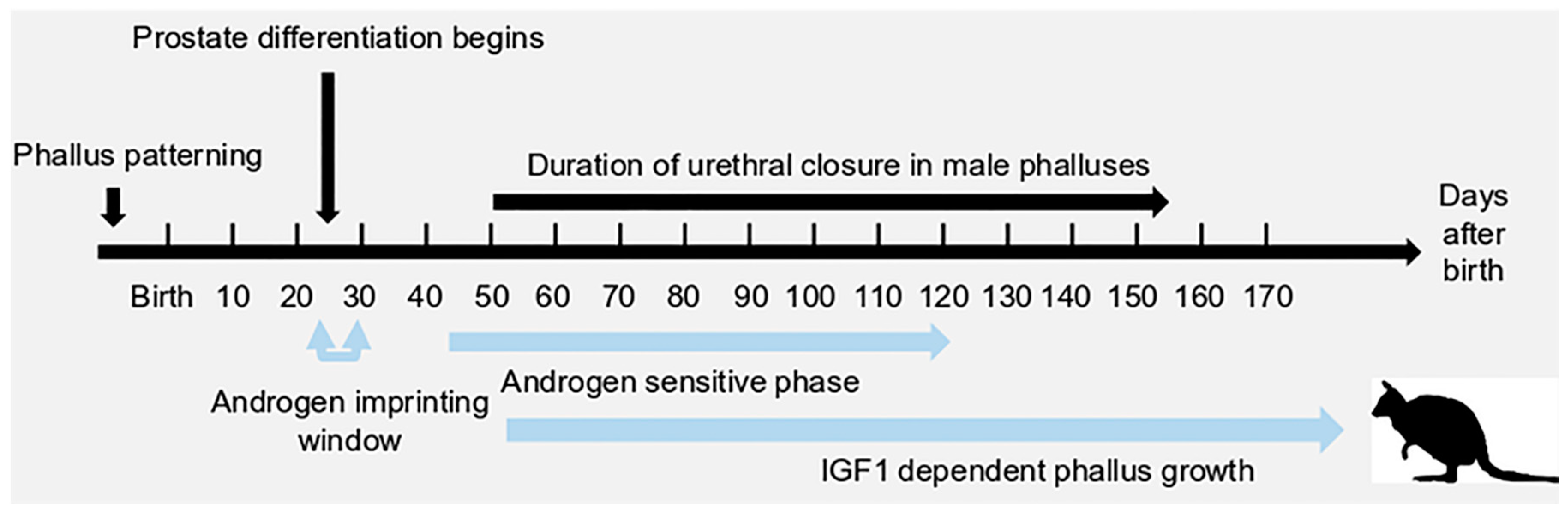 Genes 11 00106 g001