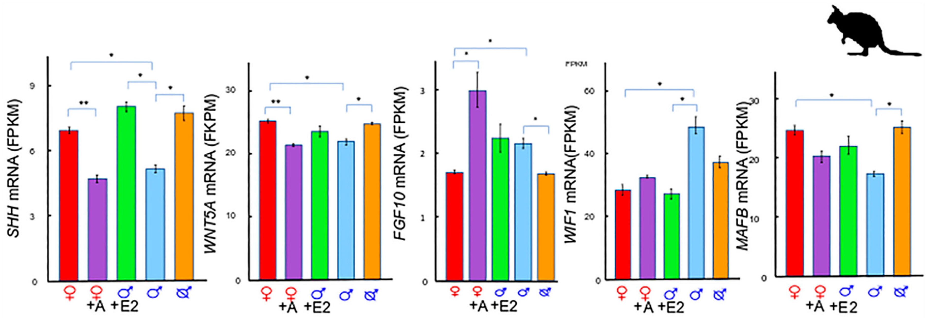 Genes 11 00106 g002