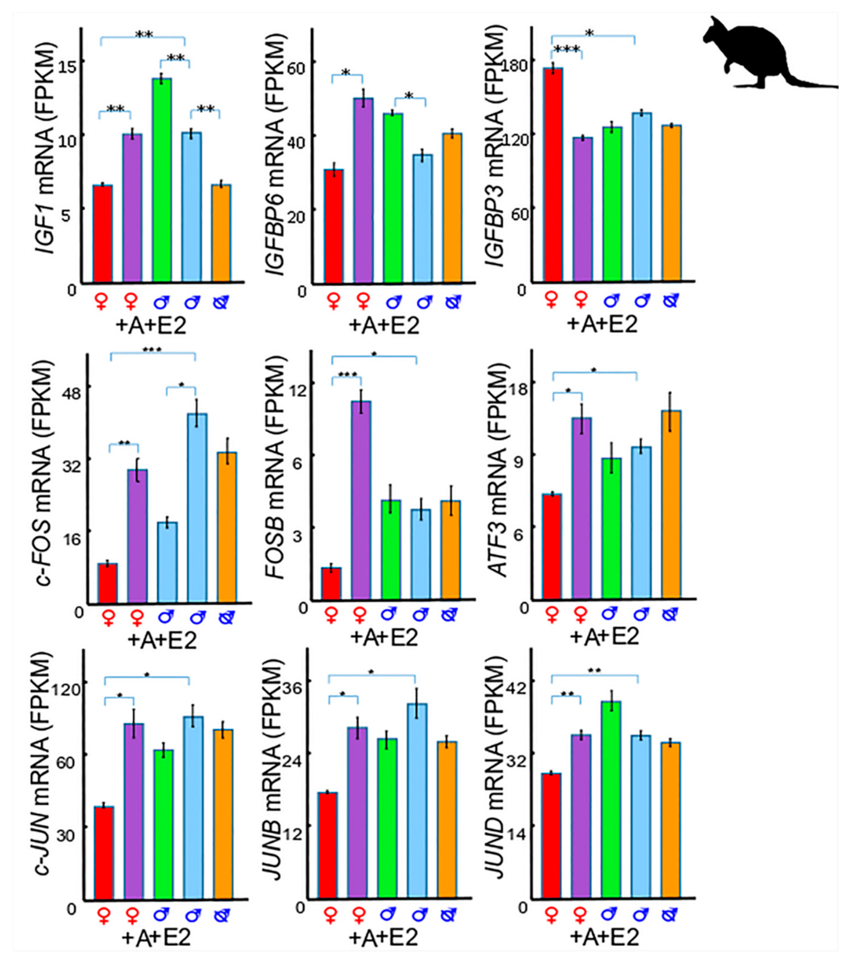 Genes 11 00106 g003