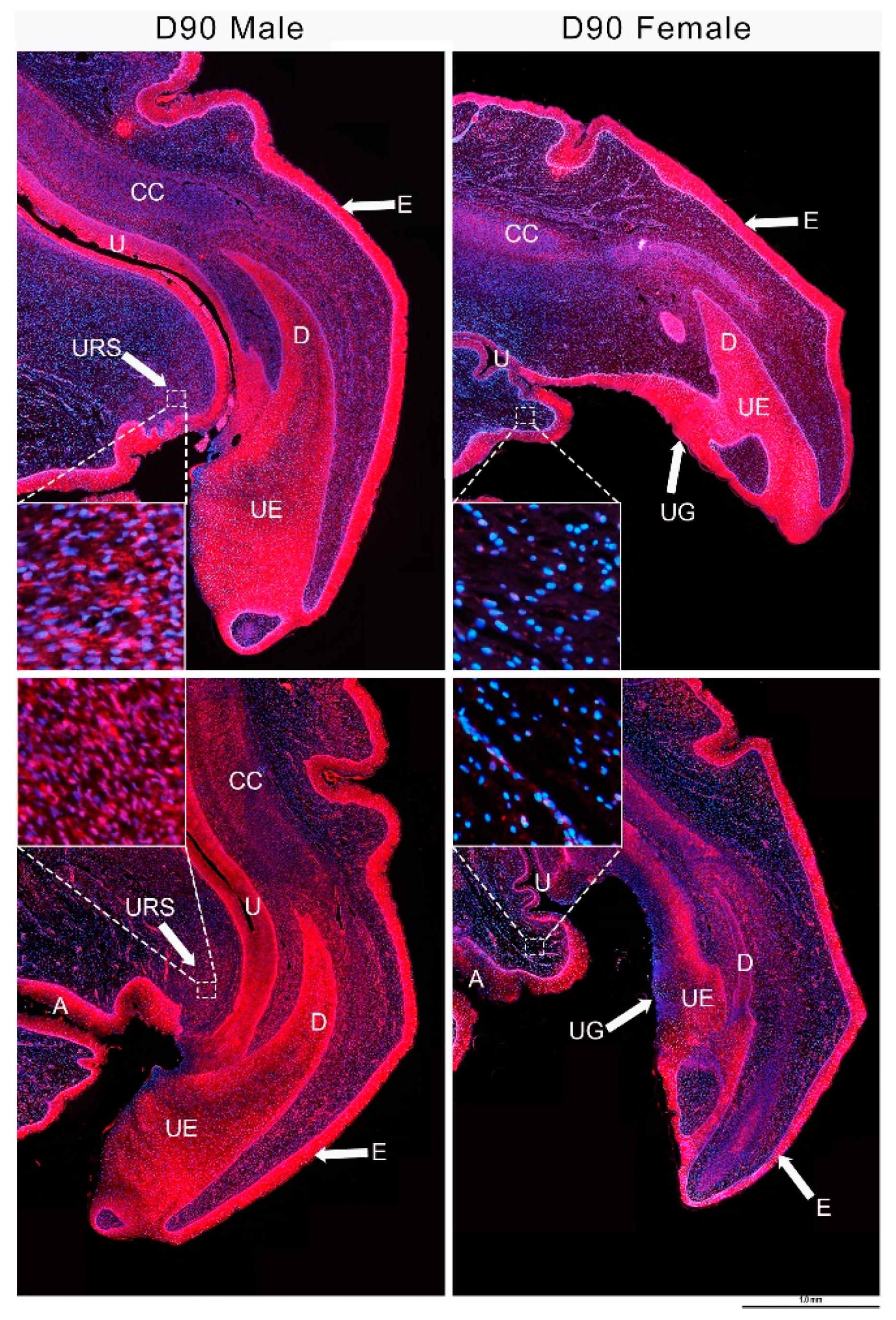 Genes 11 00106 g004
