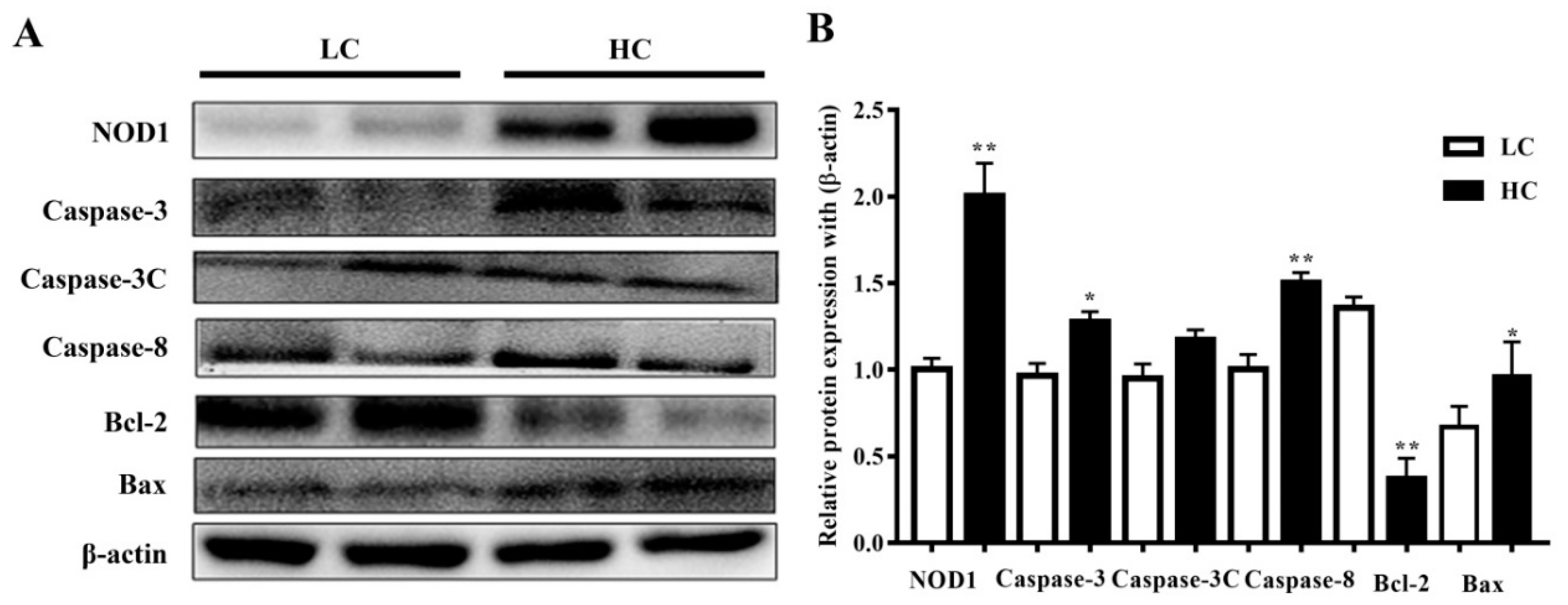 Genes 11 00107 g004 Genes 11 00107 g004